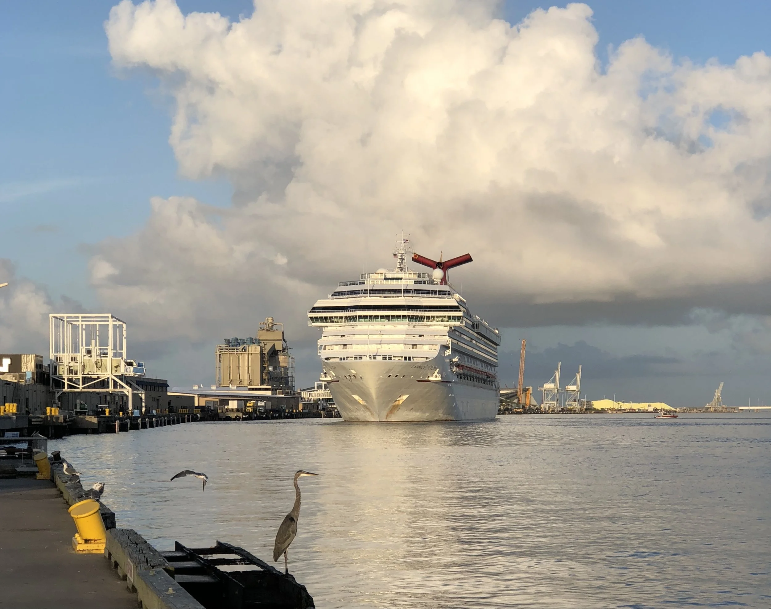 Galveston Unscripted is Texas' first free self guided audio tour of an entire city! Access the tour on your favorite podcast platform. Free Tour of Galveston, Texas. Perfect for Cruisers, Locals, and vacationers on a budget! Galveston while walking, 