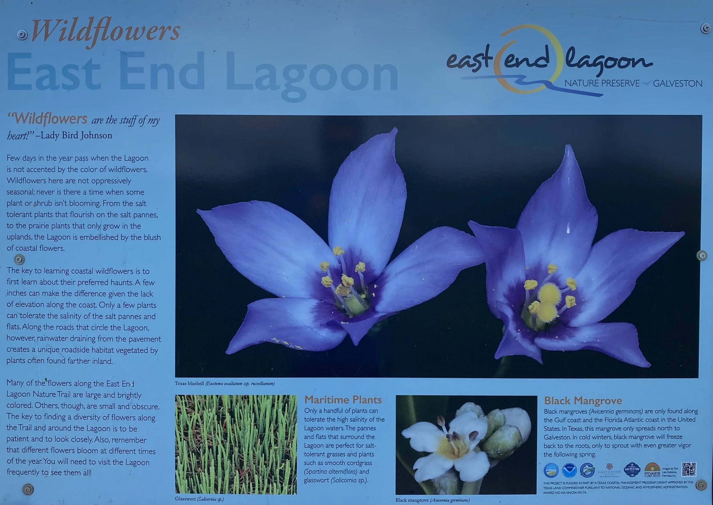 The East End Lagoon is a haven for Coastal Wildflowers.