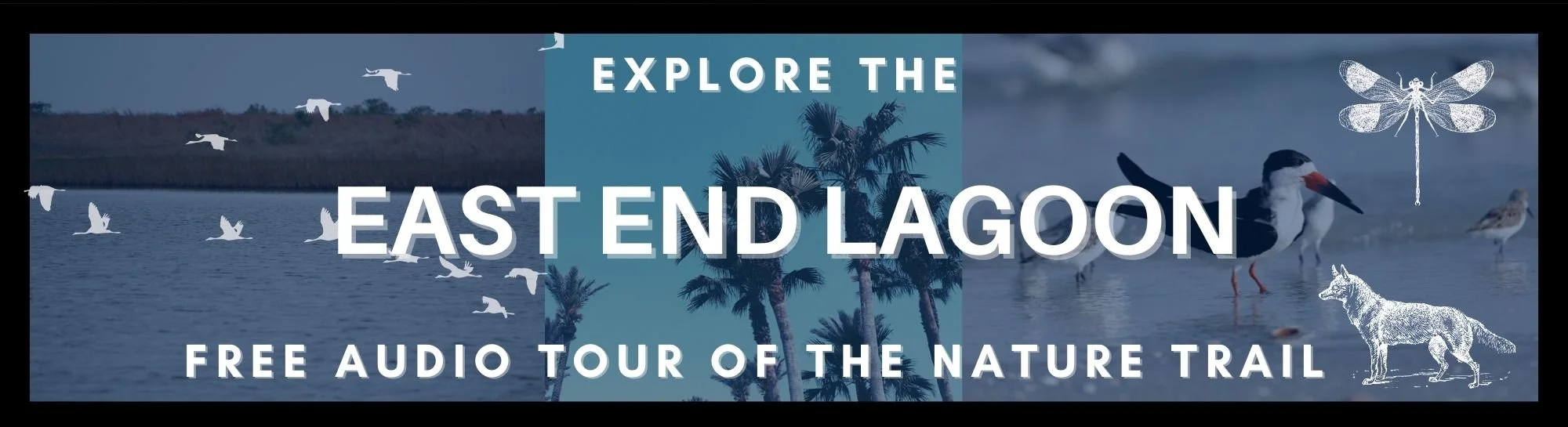 Free East End Nature.jpg
