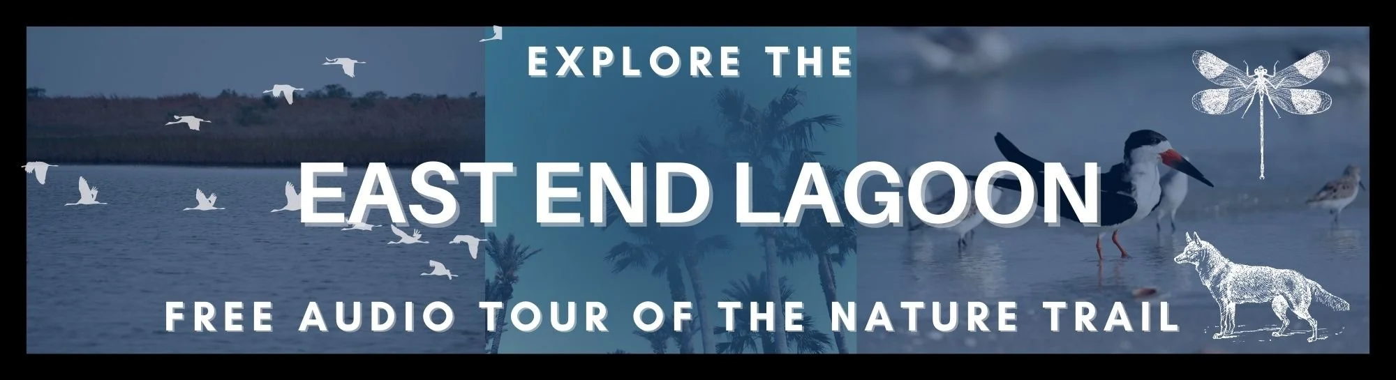 Free East End Nature.jpg