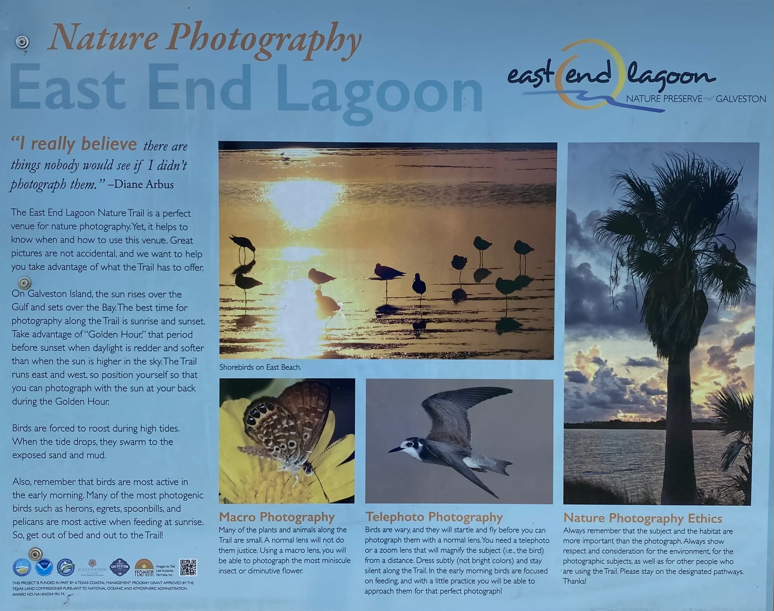 Nature Photography at the East End Lagoon