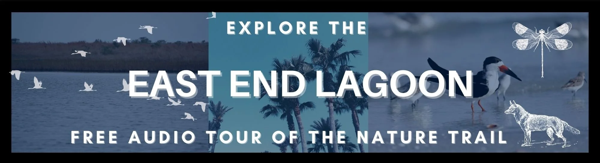 Free East End Nature.jpg