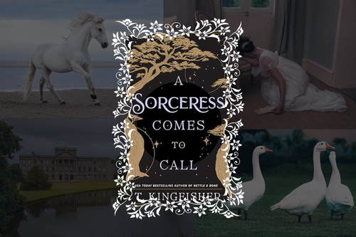 Book Review: Why ‘A Sorceress Comes to Call’ by T. Kingfisher is an
