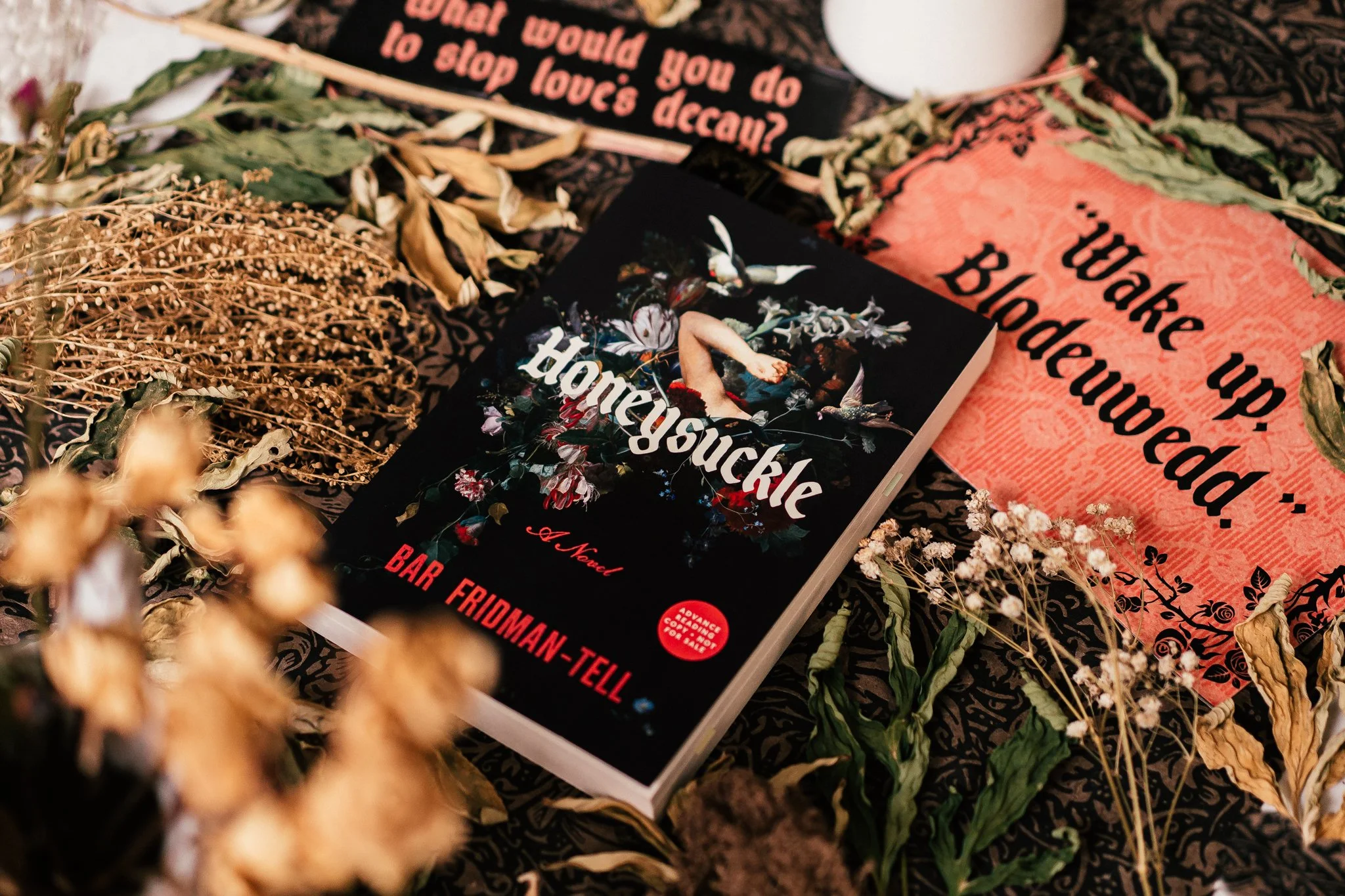 Honeysuckle by Bar Fridman-Tell, a gothic horror fairytale with a nod to Frankenstein