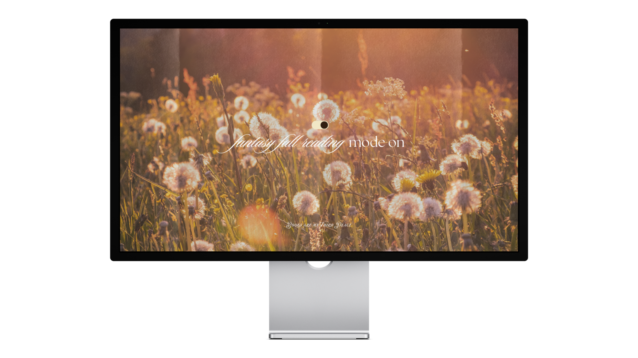 Fall flower photo with fantasy fall reading mode on text, bookish digital wallpaper background