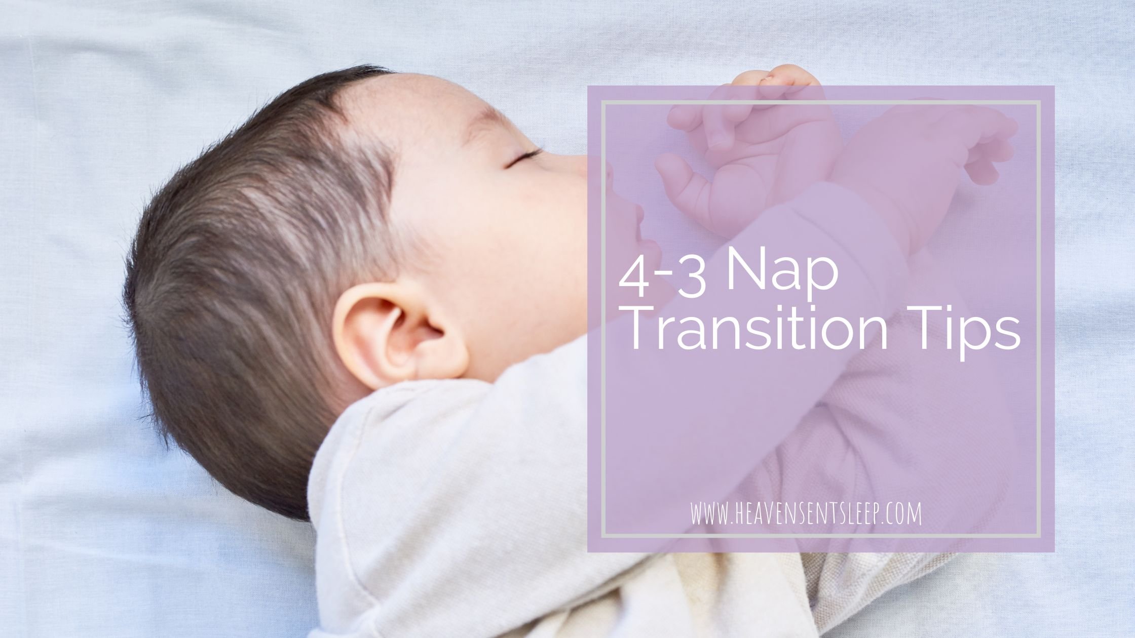 4 to 3 Nap Transition