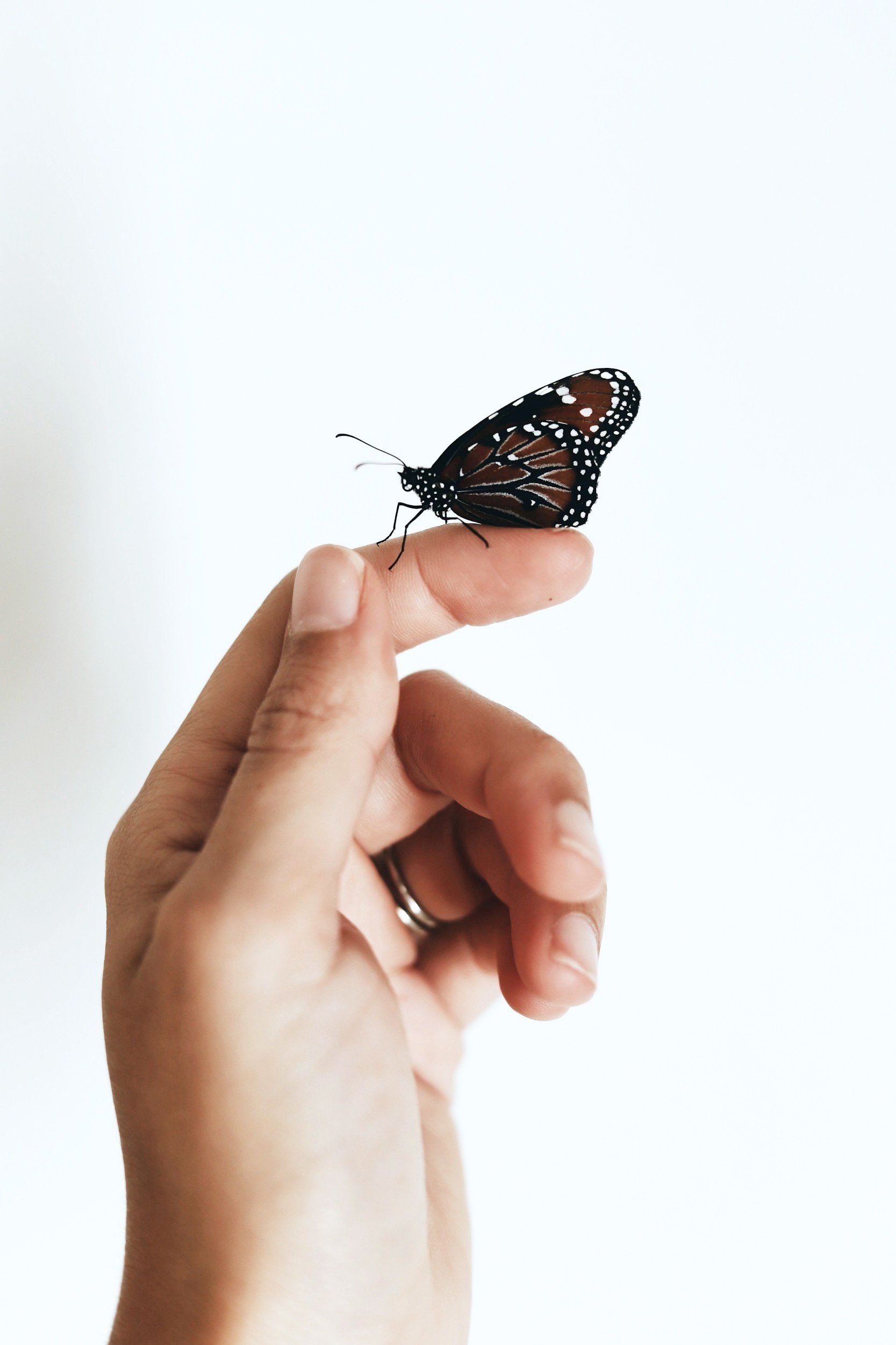 unsplash-image-cFIrOY6fqNY.jpg