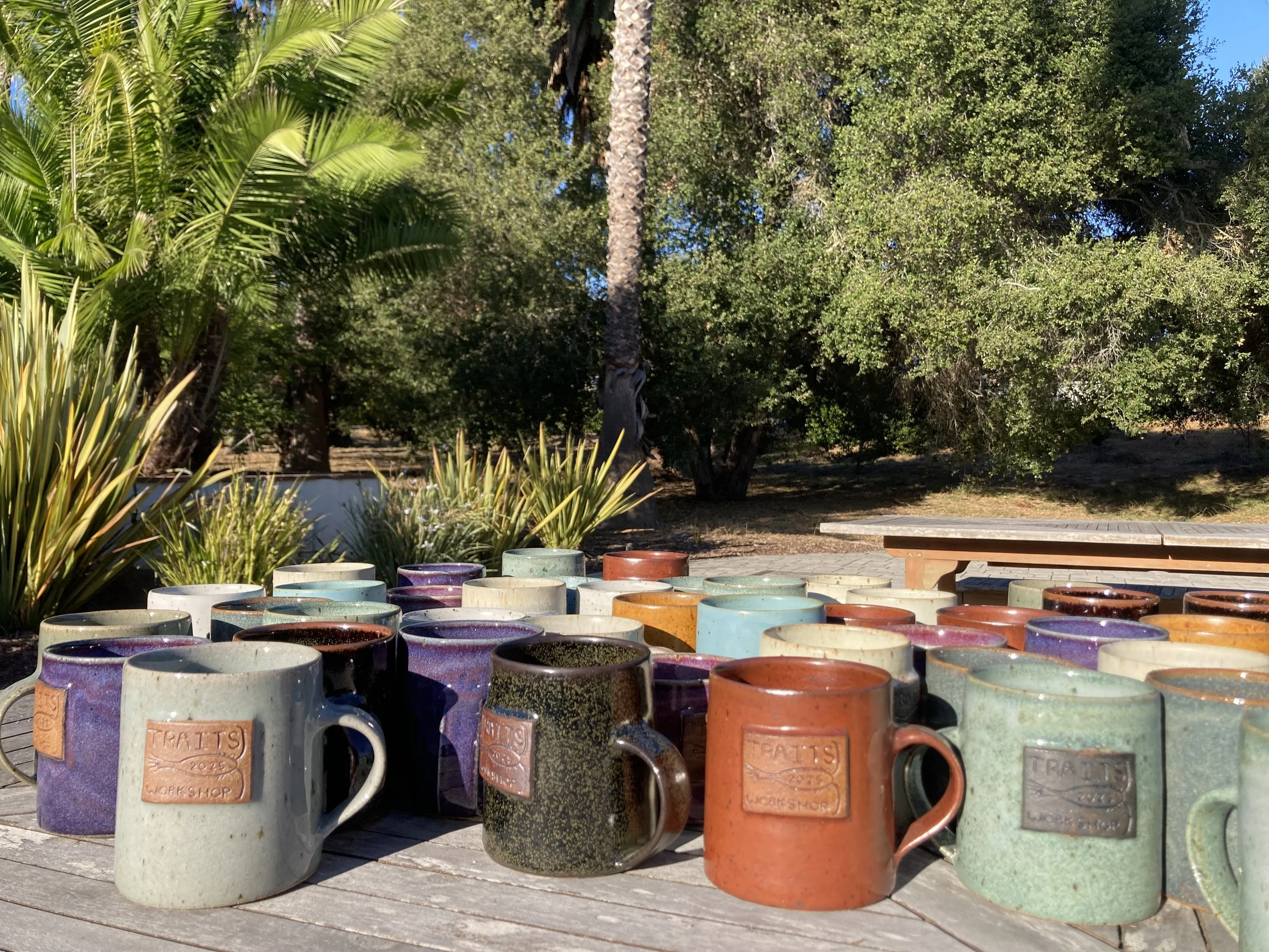Mug Collection: Traits Workshop 2025