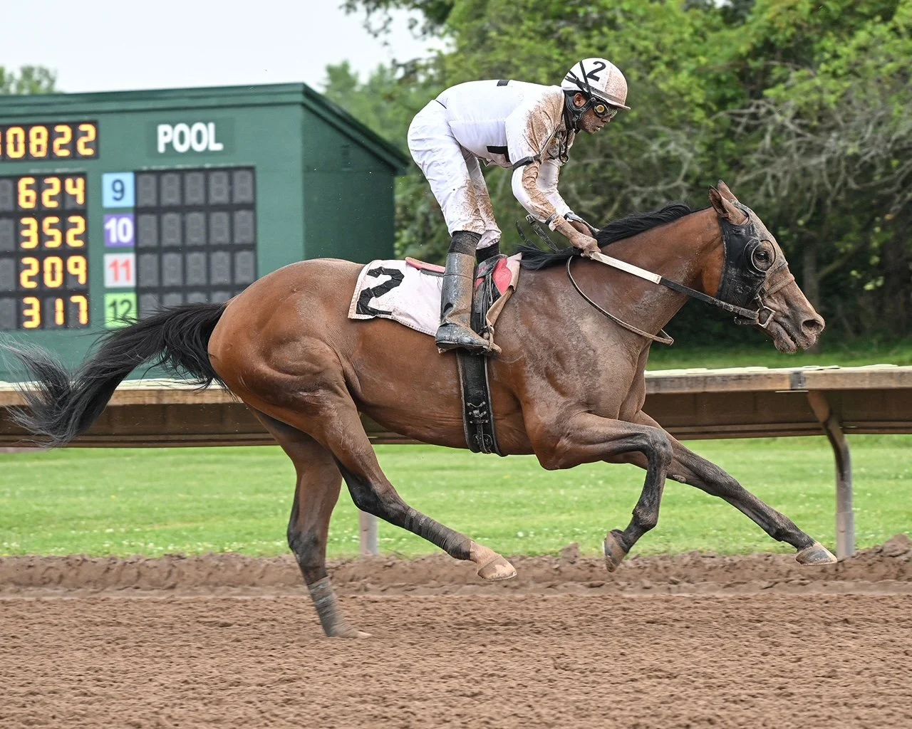 7-23-24 R7 Flash Kiss.JPG