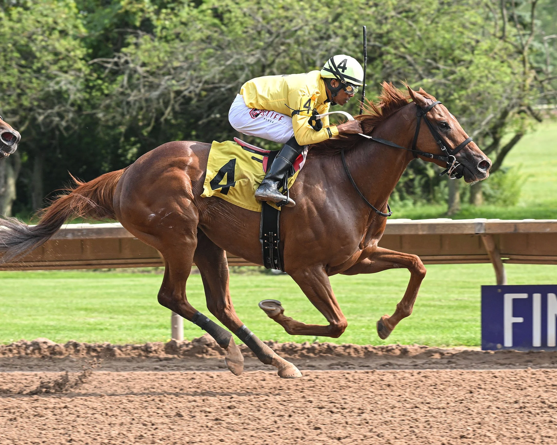 8-13-24 R6 Cashel Kitten.JPG