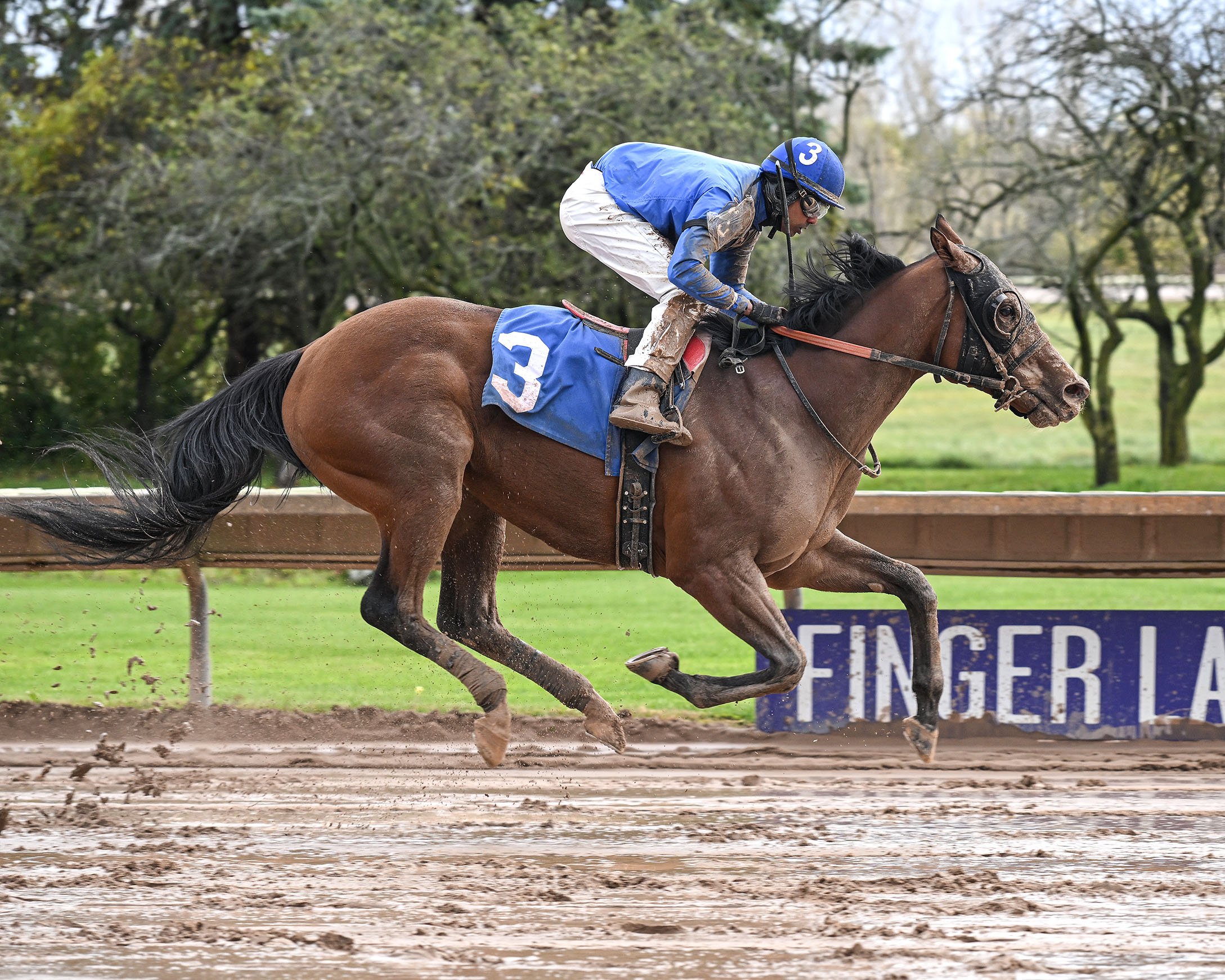 10-14-24 R5 Flash Kiss.JPG