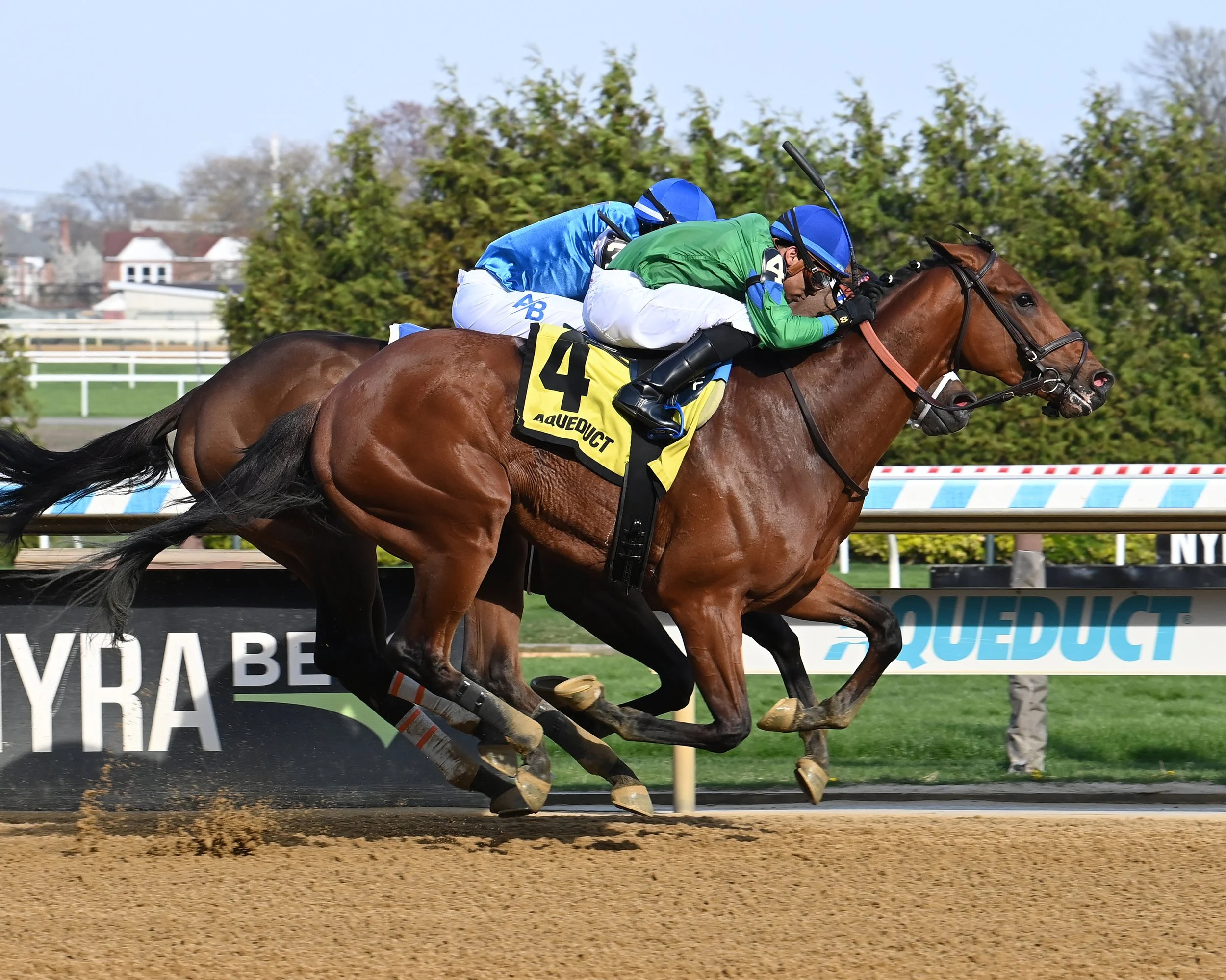 mo plex the bay shore credit susie raisher.JPG