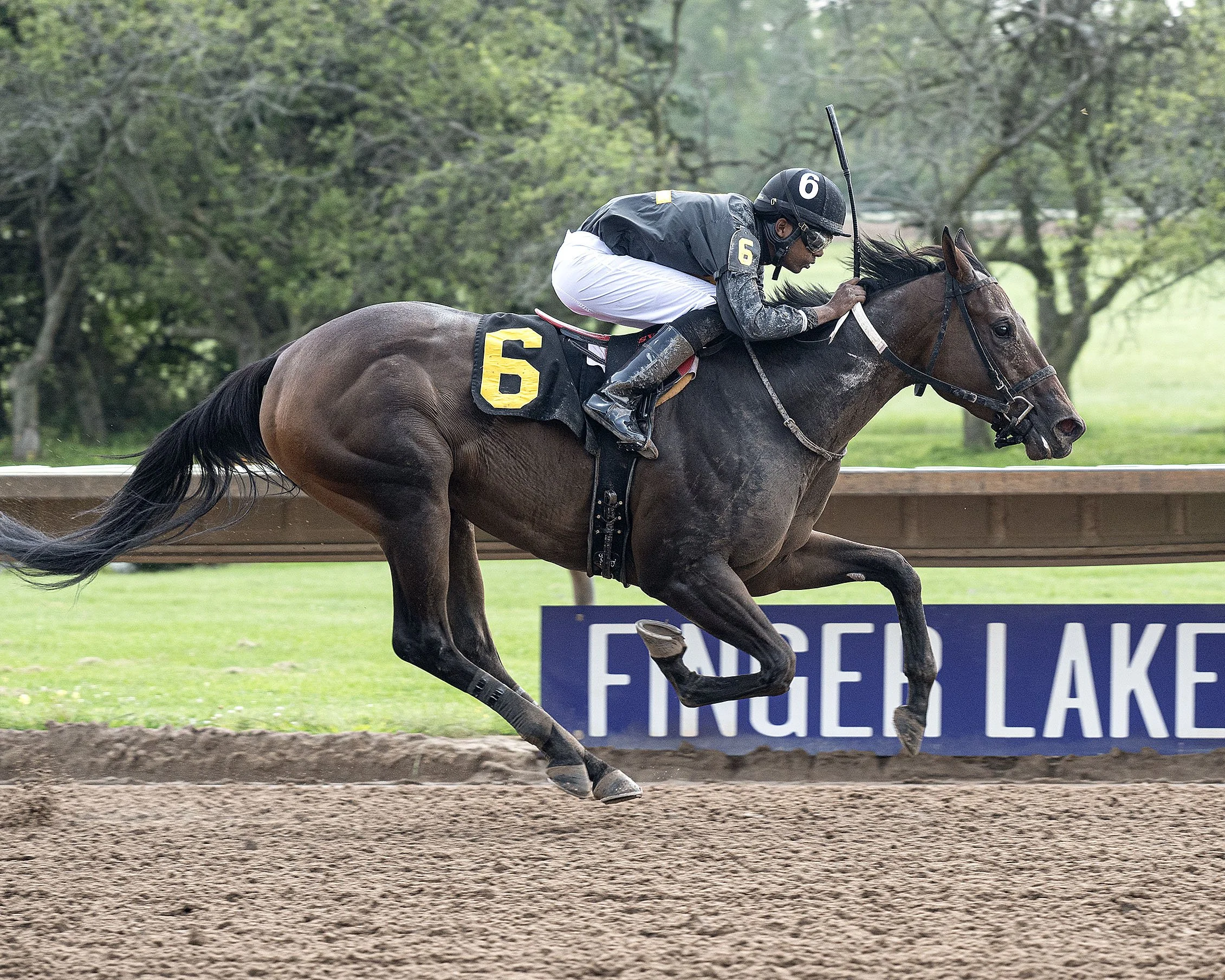 8-26-24 R1 Unicorn Cake.JPG