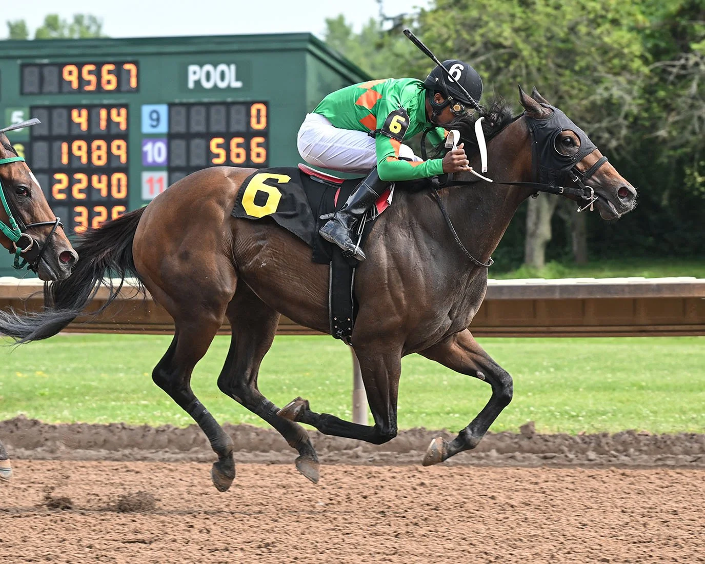 7-24-24 R6 Blue Eyed Warrior.JPG