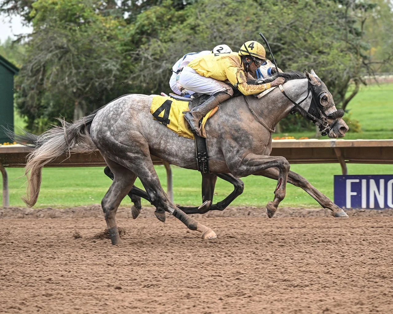 9-18-24 R6 Curlin's Hustle.JPG