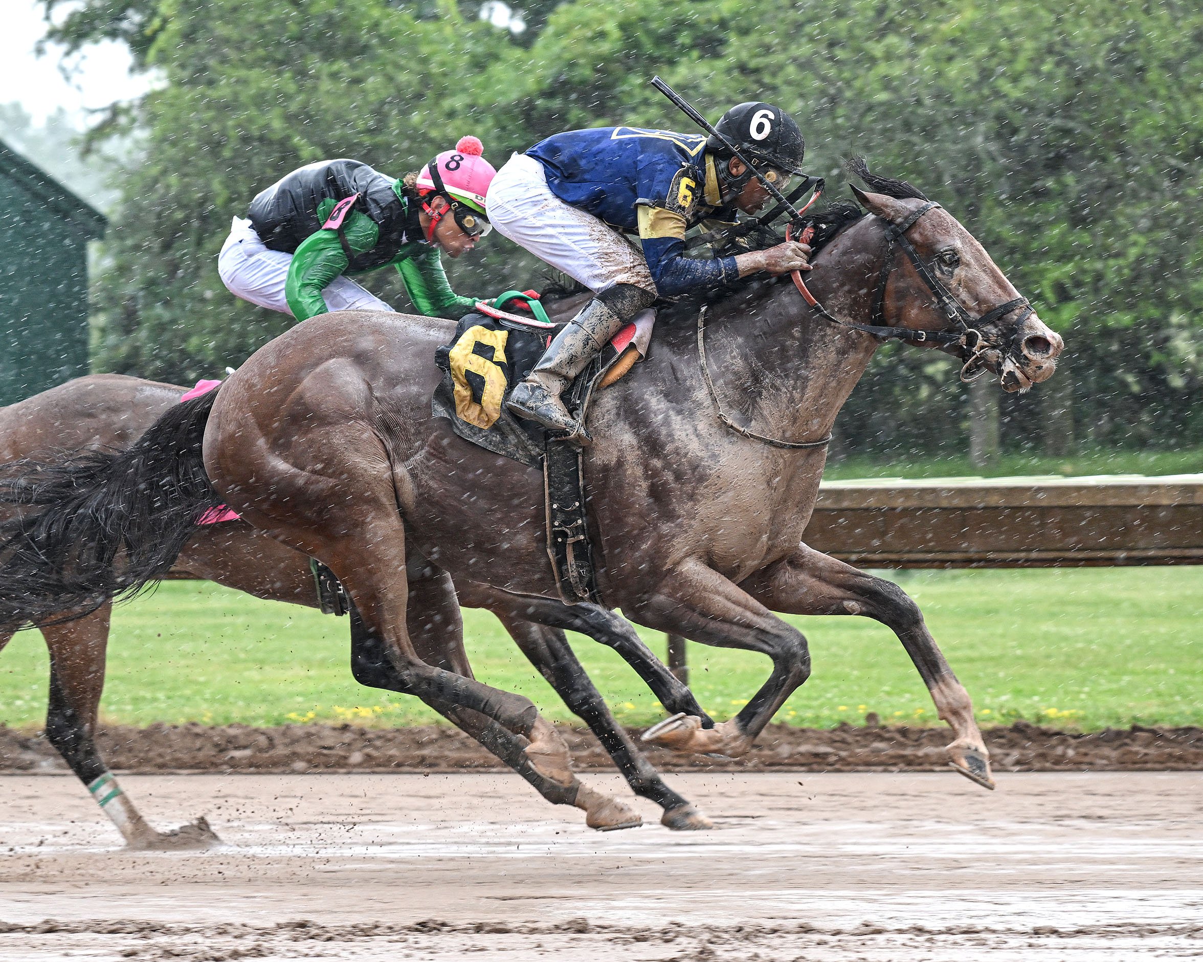 7-10-24 R7 Dr Settle's Dream.JPG