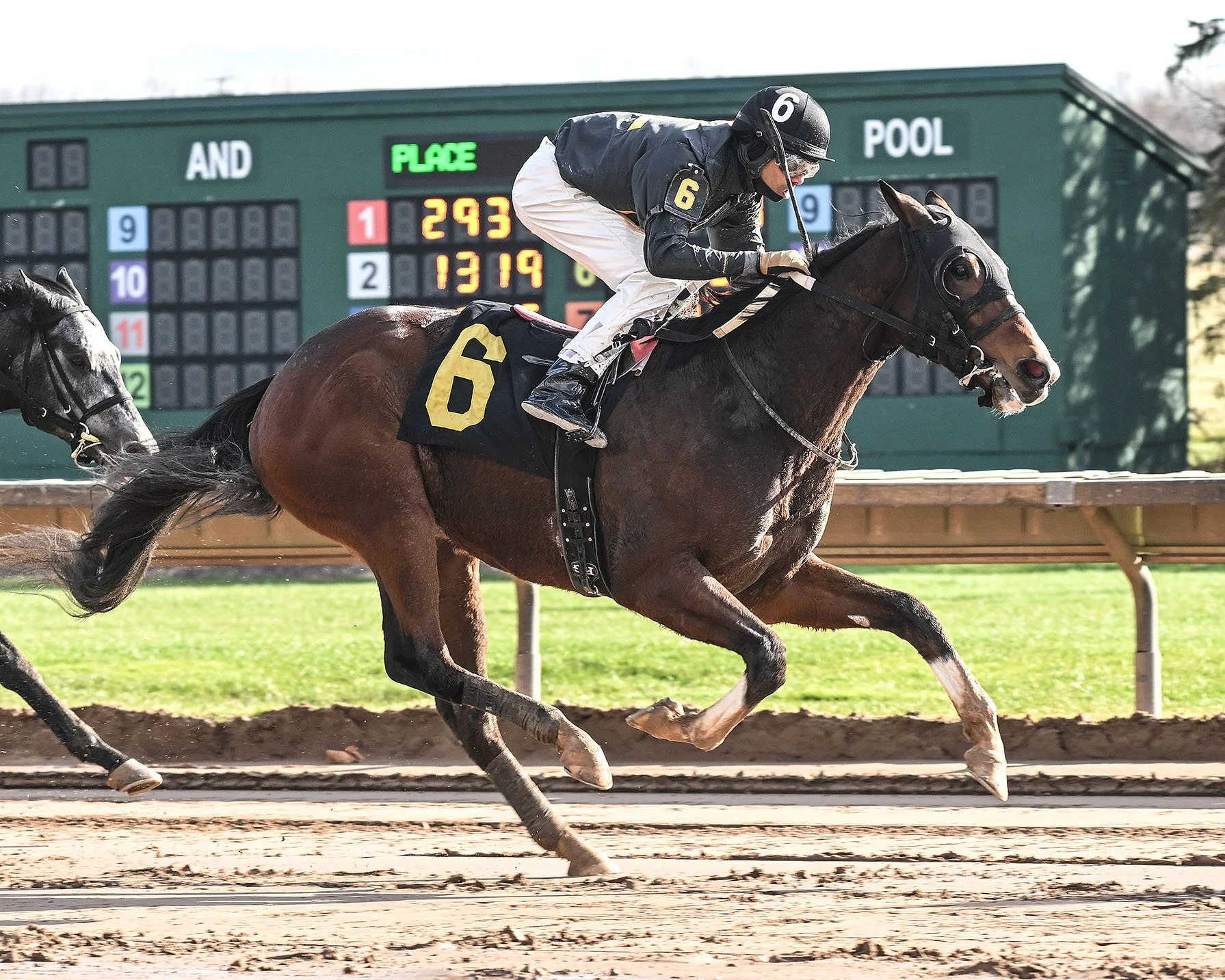 11-27-24 R3 Seventh Race Shake.JPG