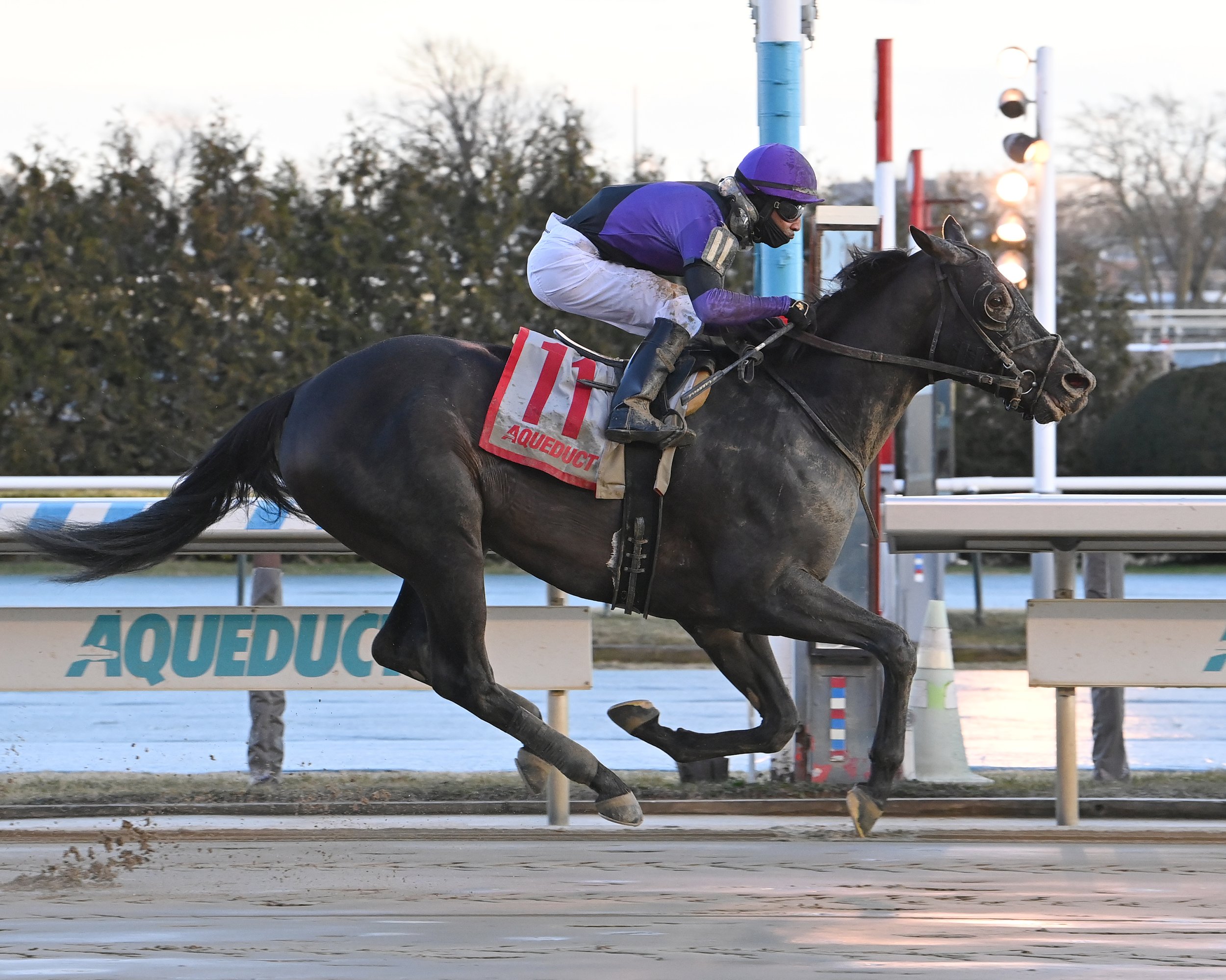 whittington park.JPG