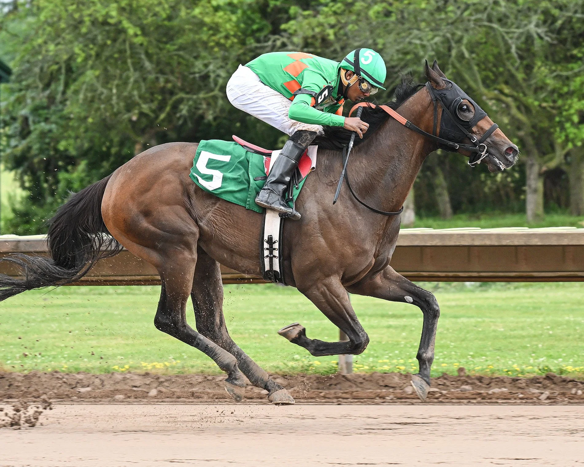 7-10-24 R8 Blue Eyed Warrior Worrie 5th Win of Day.JPG