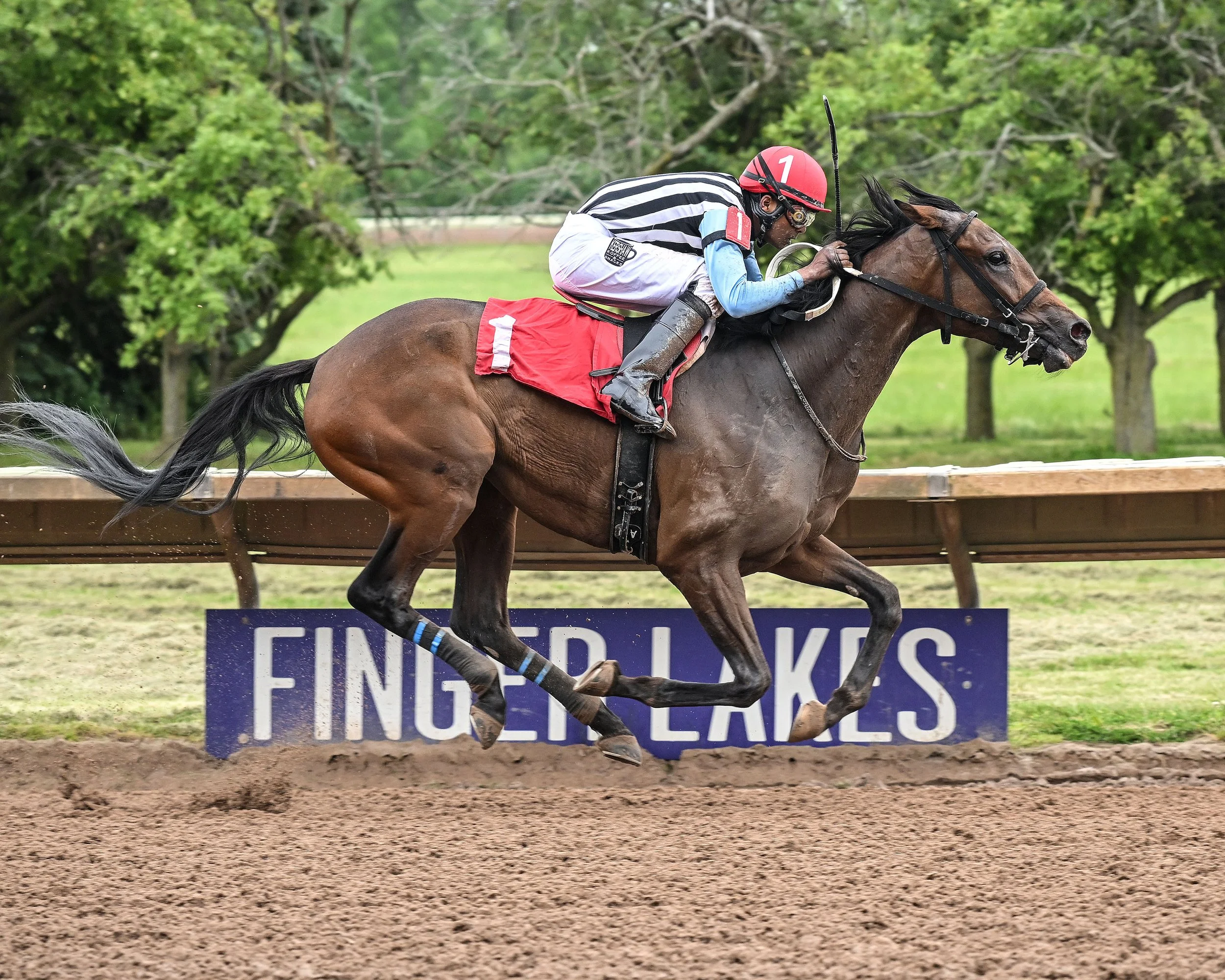 6-16-25 R6 Three Point Strut.jpg