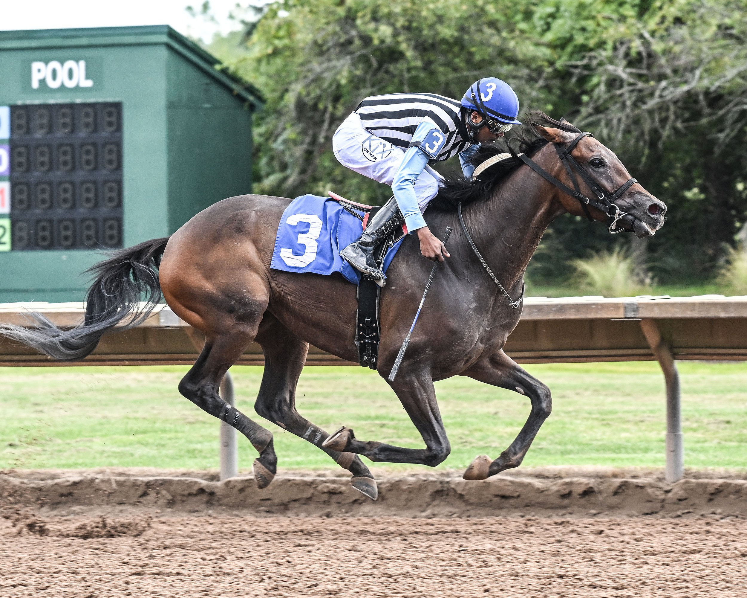 9-2-25 R2 Three Point Strut.jpg