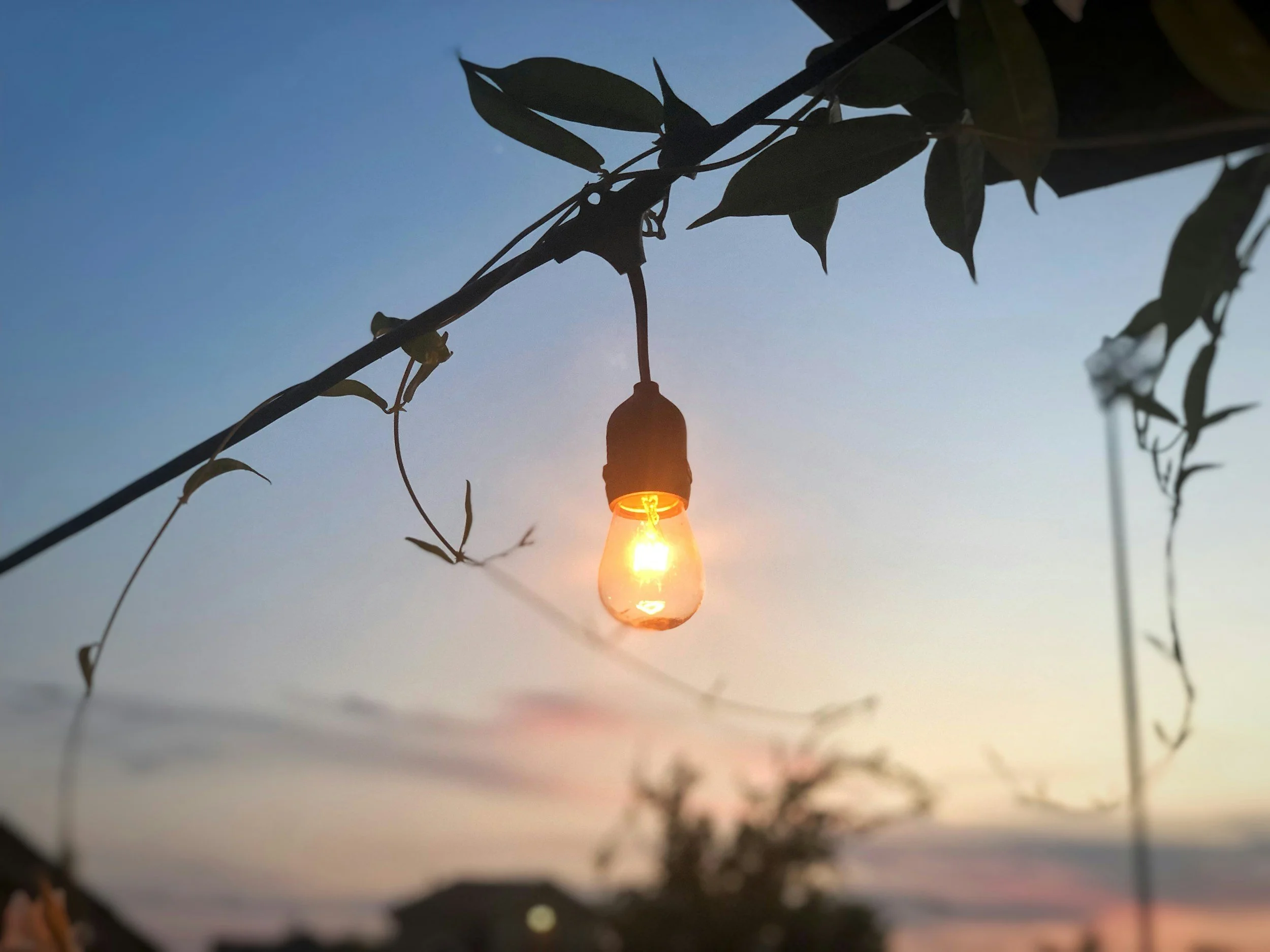 Cool Nights, Lower Bills: How to Take Advantage of Late-Summer Evenings