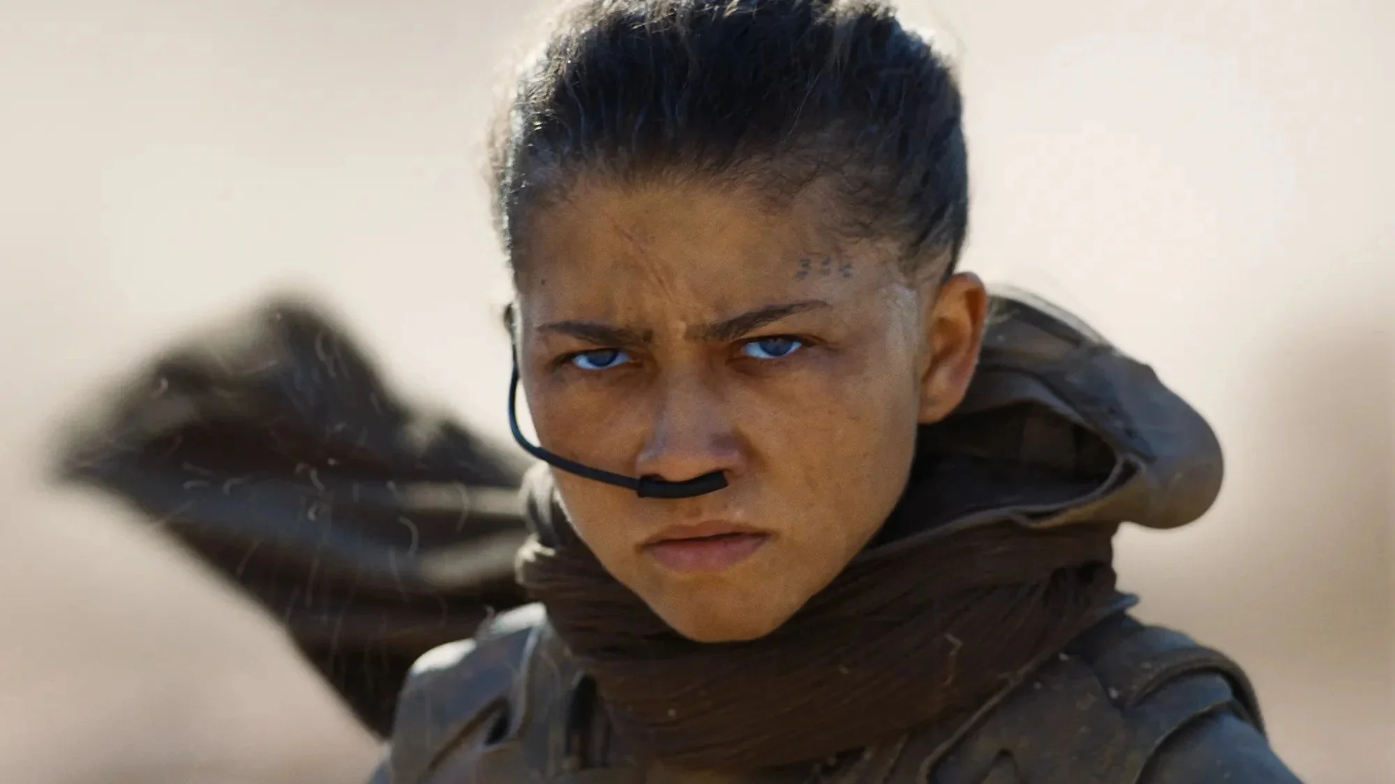 2026 is the year of Zendaya.