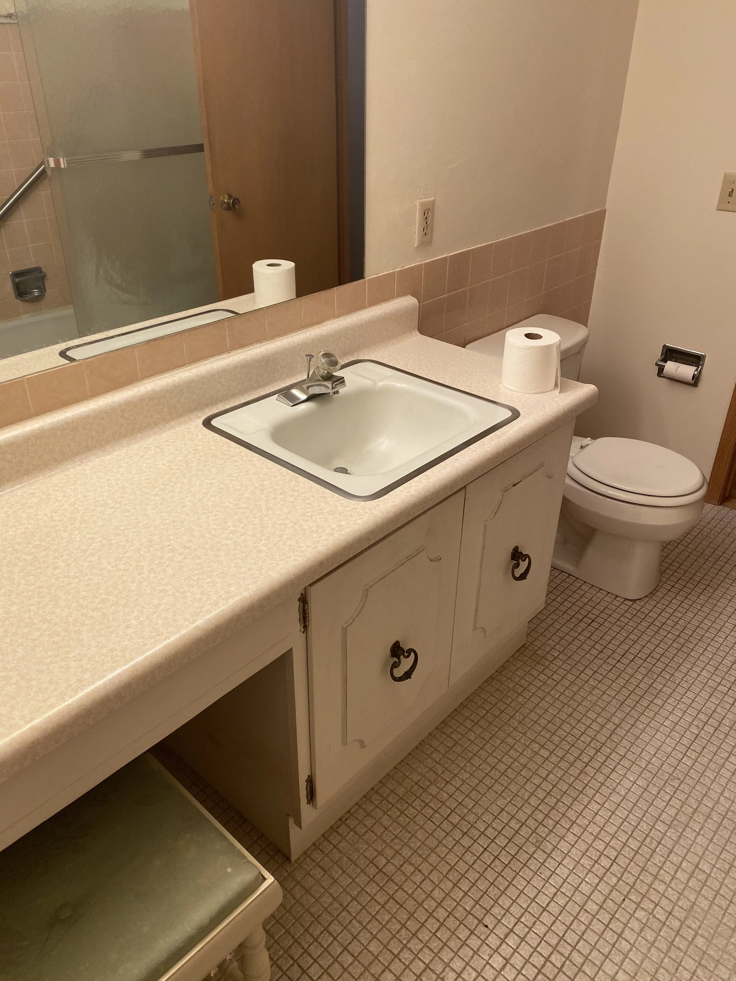 Before_Pink Bathroom