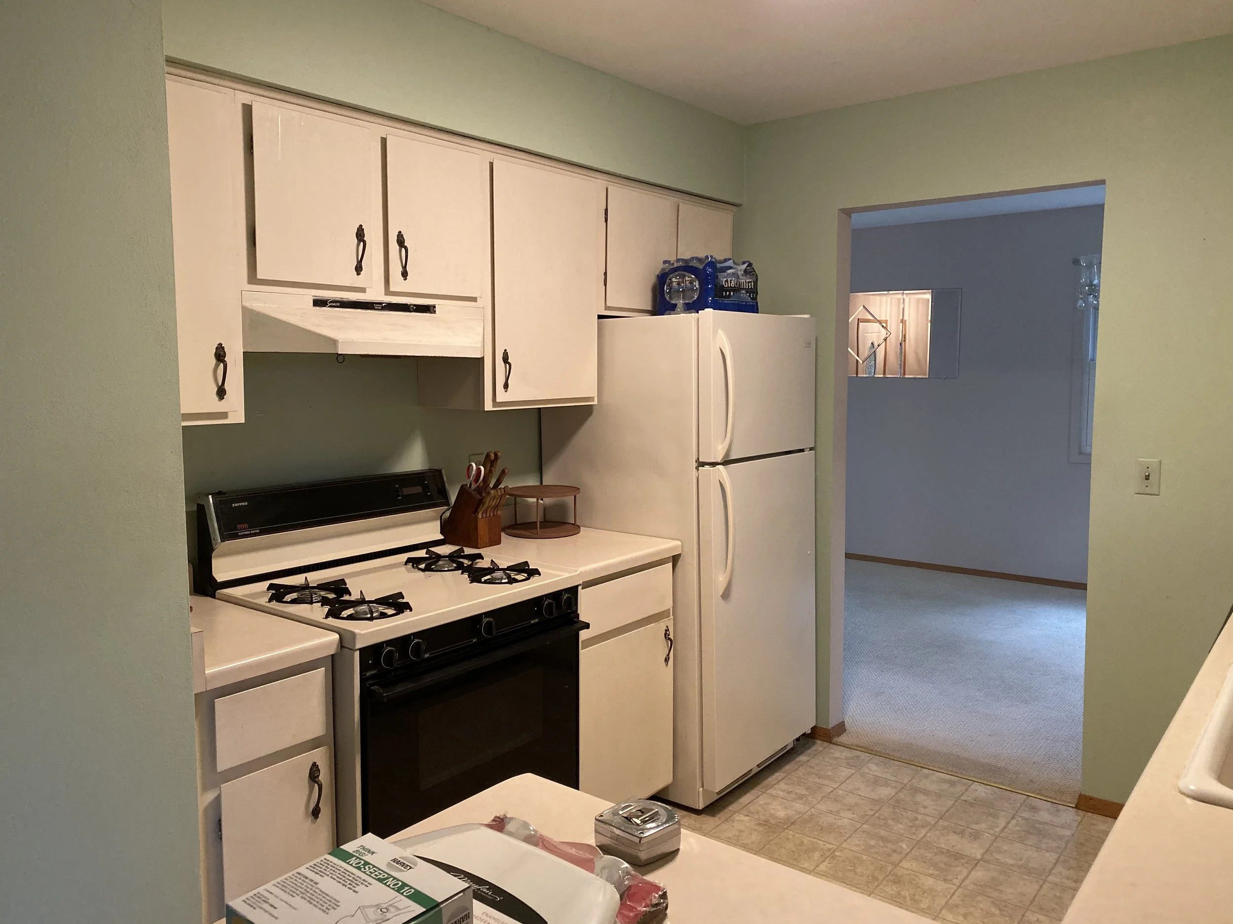 Before: Kitchen_ Knight House 