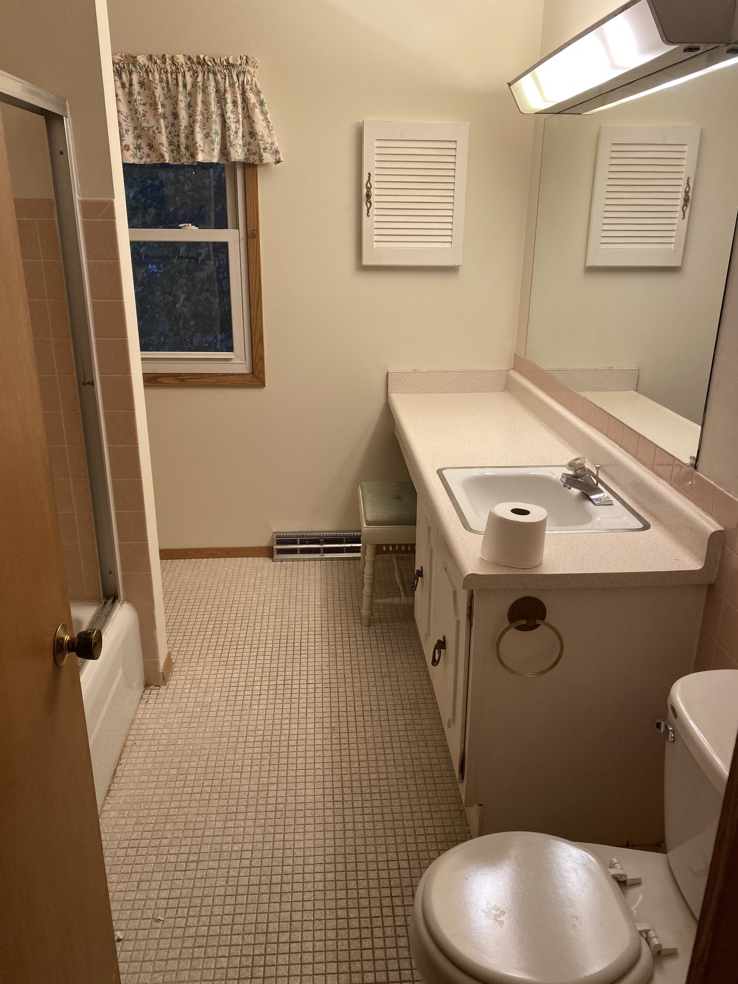 Before_Pink Bathroom