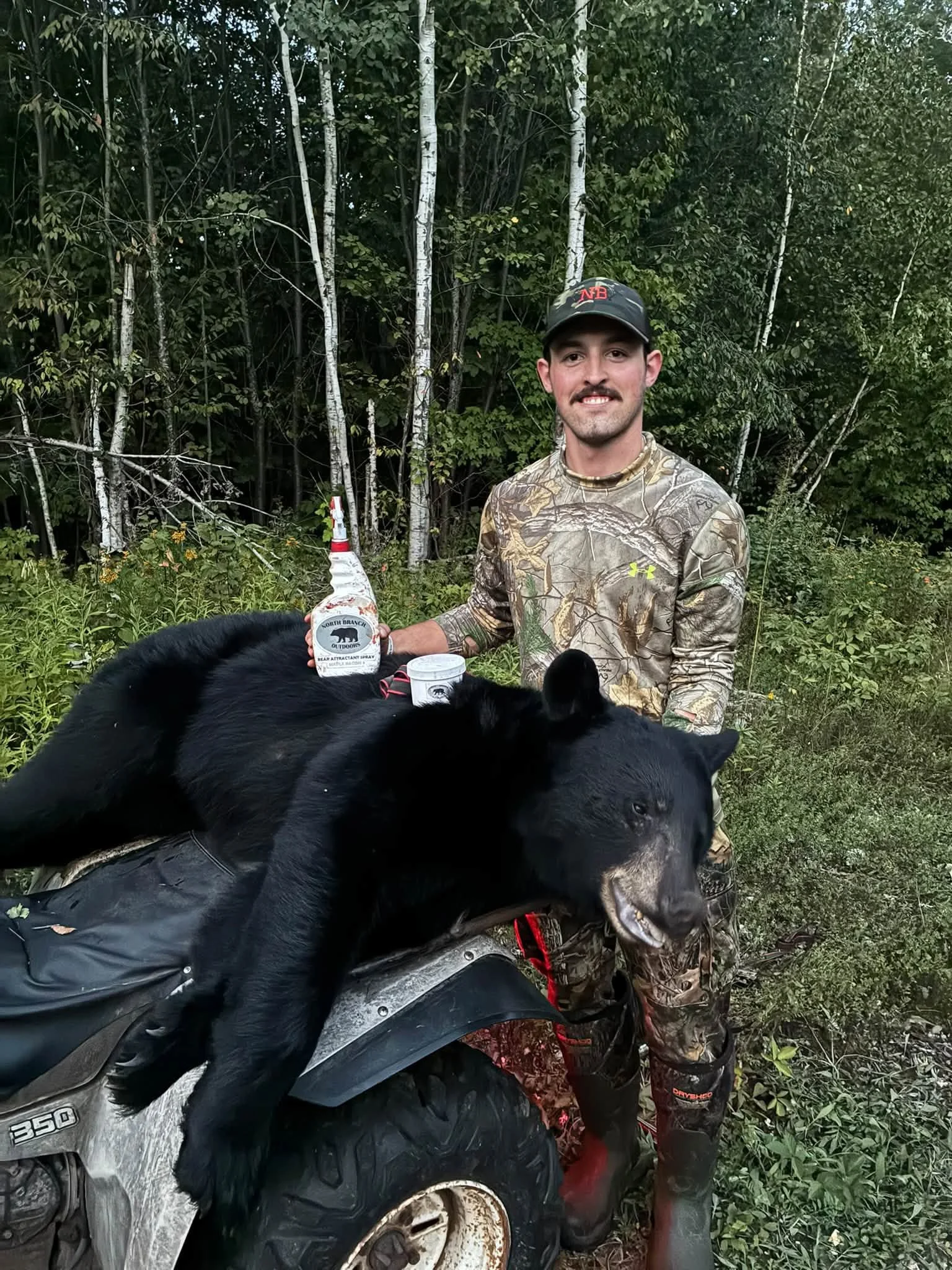 2026 bear harvest-3.jpg
