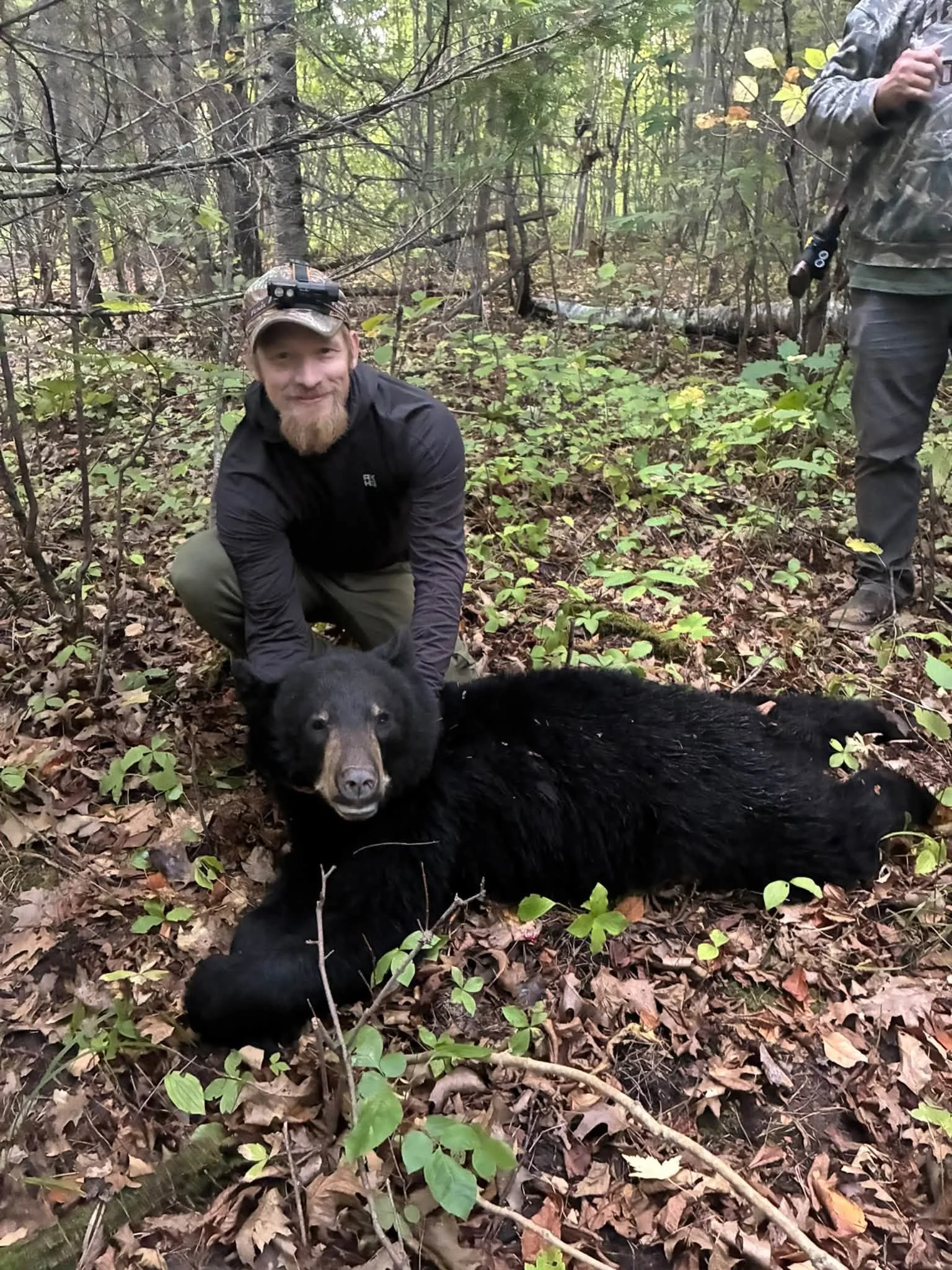 2026 bear harvest.jpg