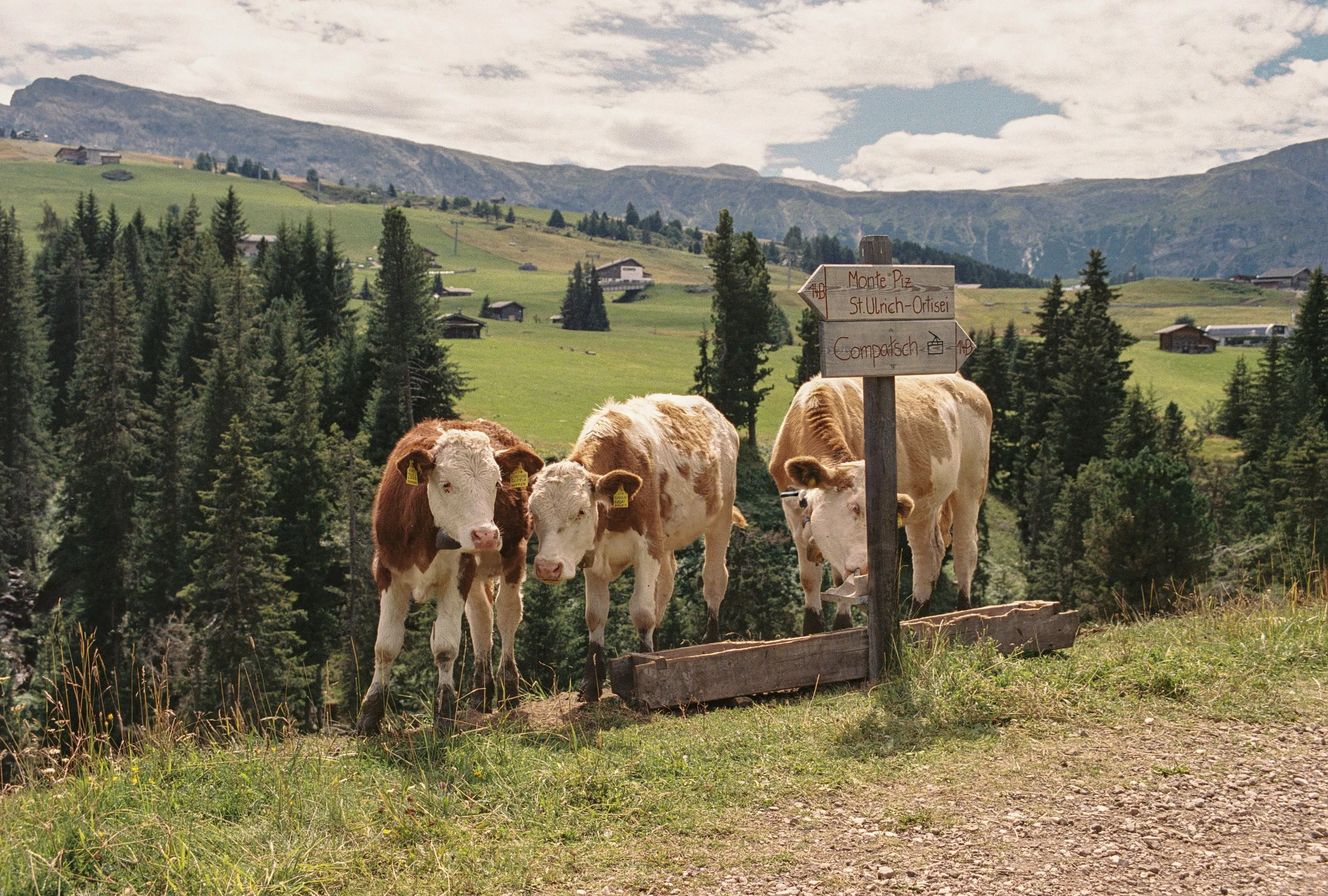 HB_Cloud Blvd_Italy-217 copy.jpg