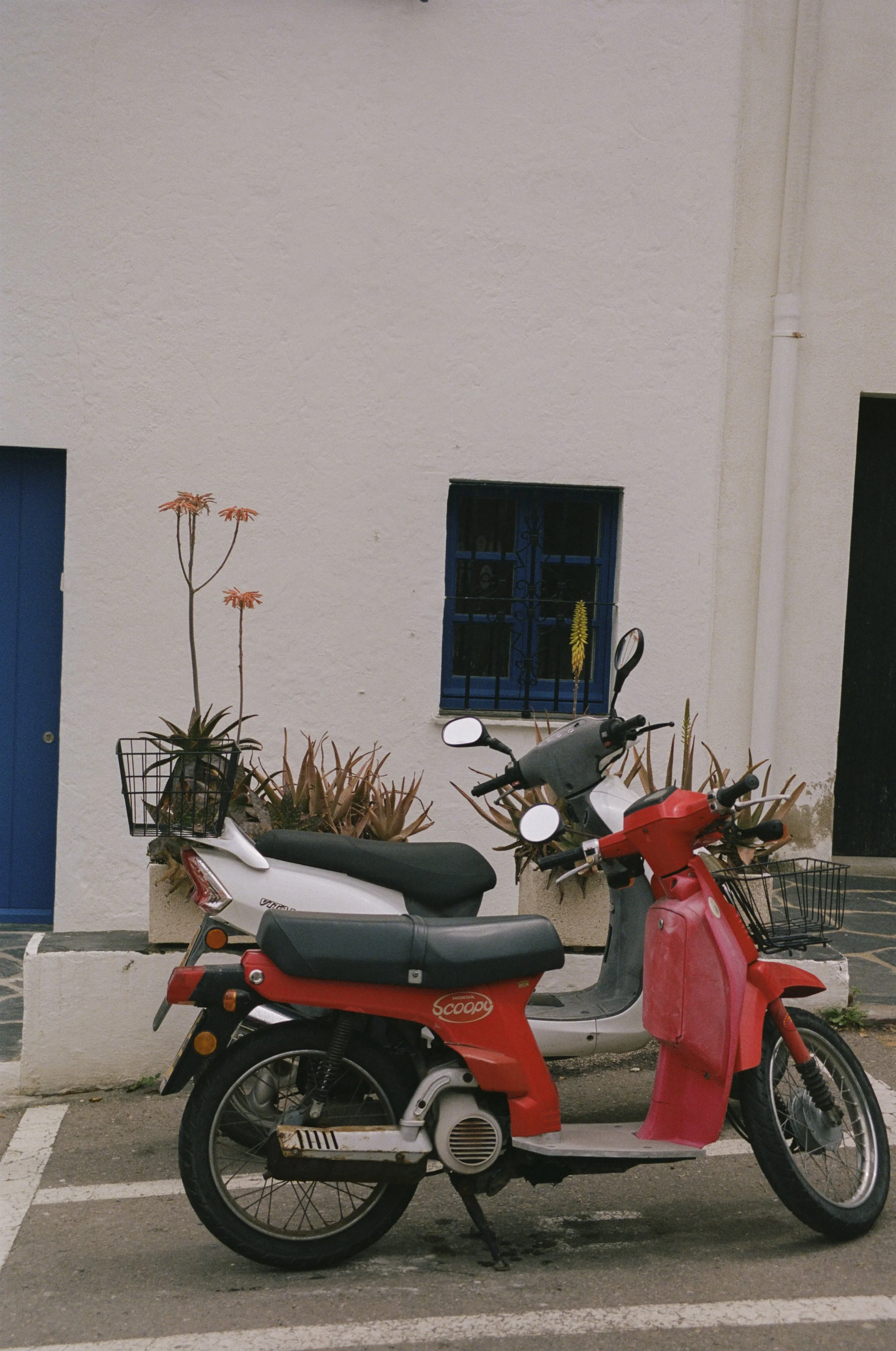 HB_PP_EuroSummer26-399.jpg