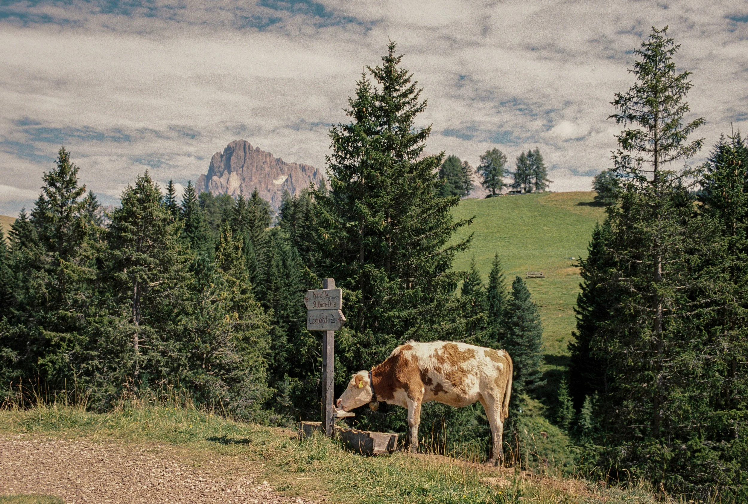 HB_Cloud Blvd_Italy-214 copy.jpg