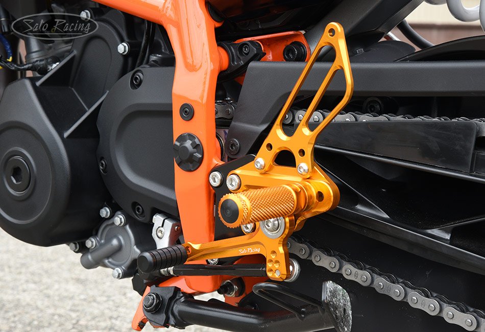 KTM-D39024RS-GD_fitL2.jpg