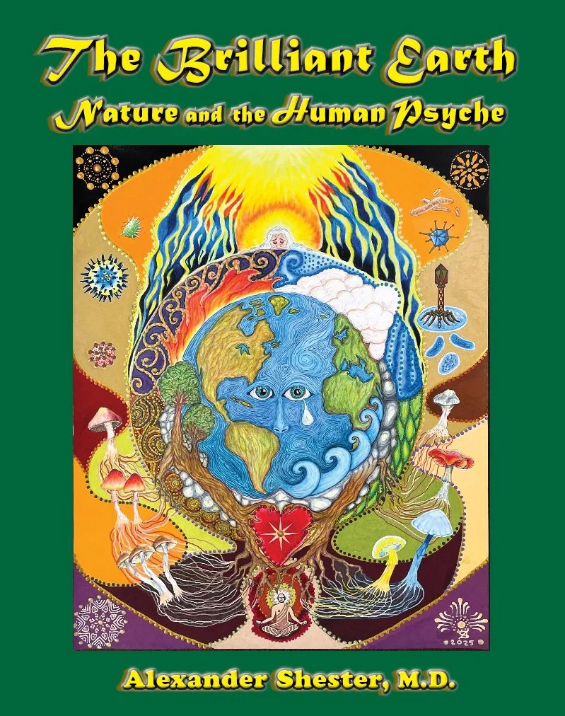 THE BRILLIANT EARTH Nature and the Human Psyche