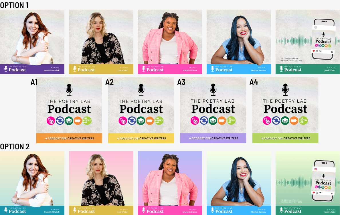 Podcast Options for Lori.png