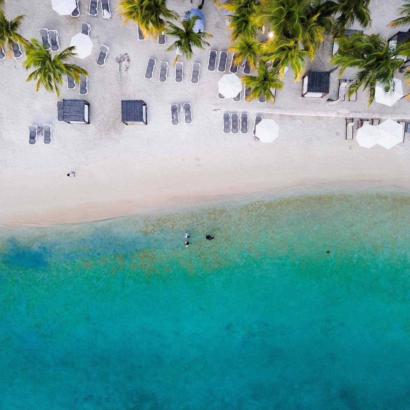 Droning over Mambo beach. Packed with restaurants and amenities, Mambo beach is normally one of the premier resort beaches in curaçao. When we went in January it felt all but deserted, the two lone swimmers in the second photo constituting maybe a h