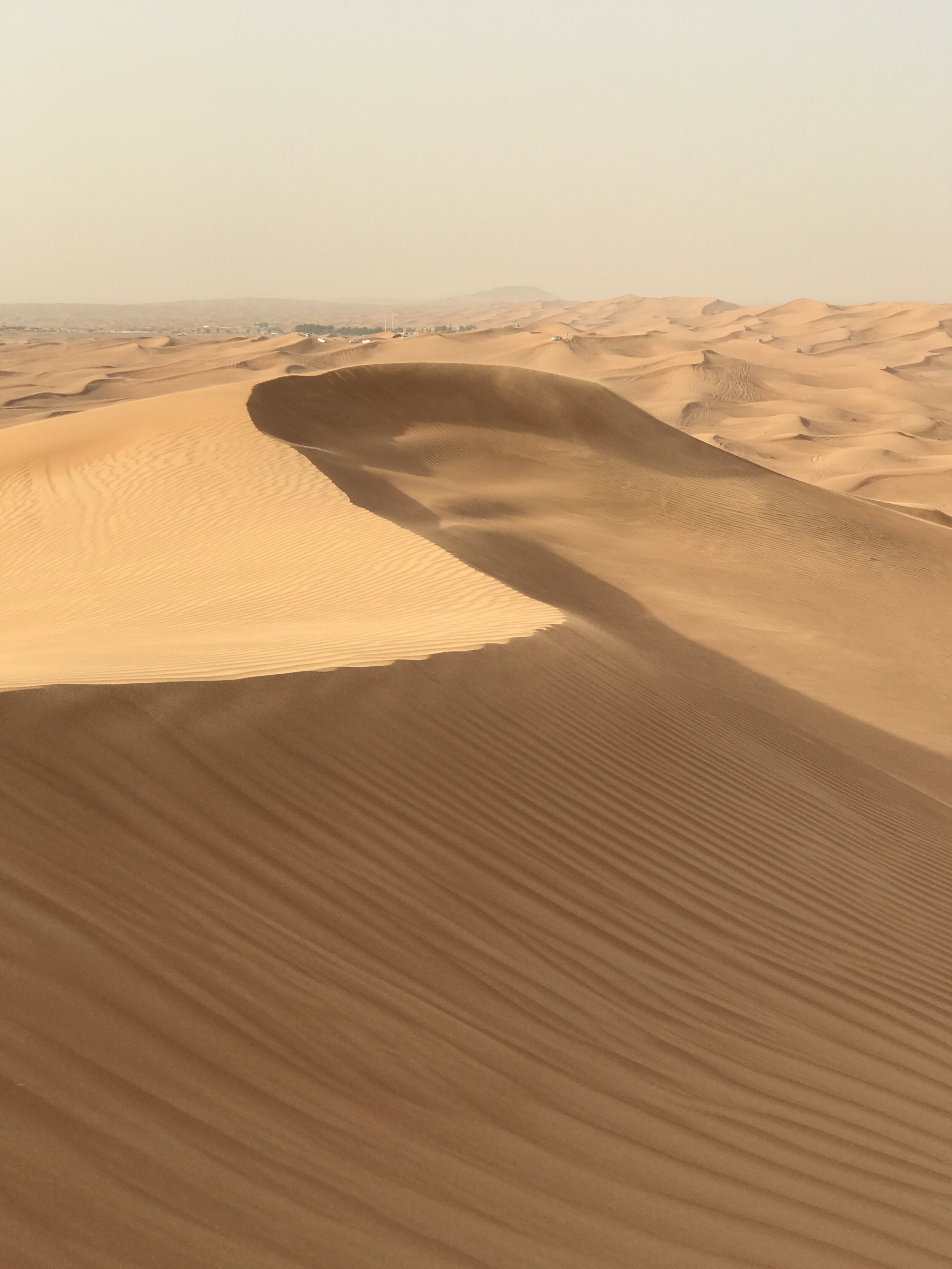 Desert Dunes (Dubai) - Photo Credit: TA