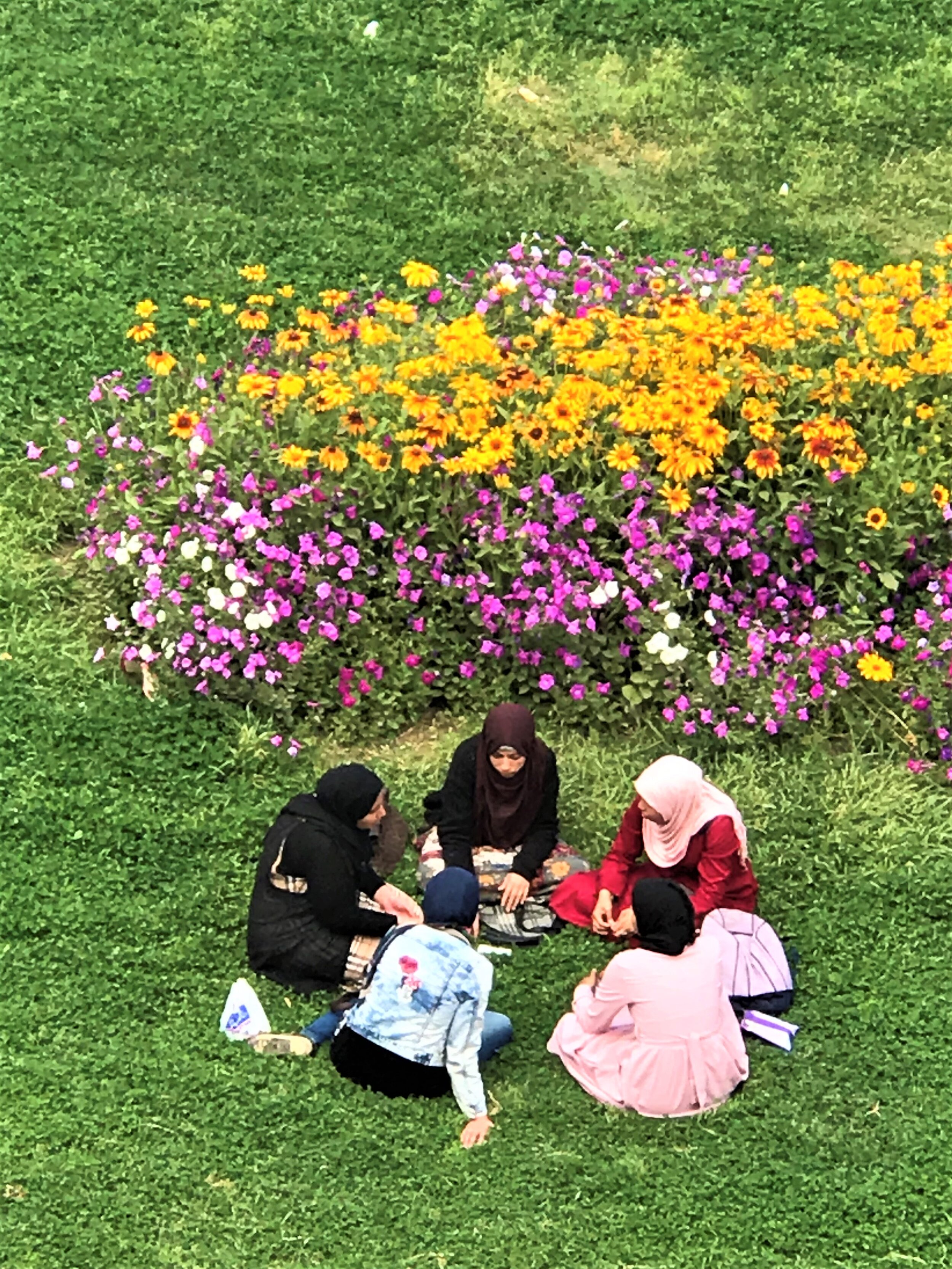 Cairo University Students on break - Photo Credit: TA