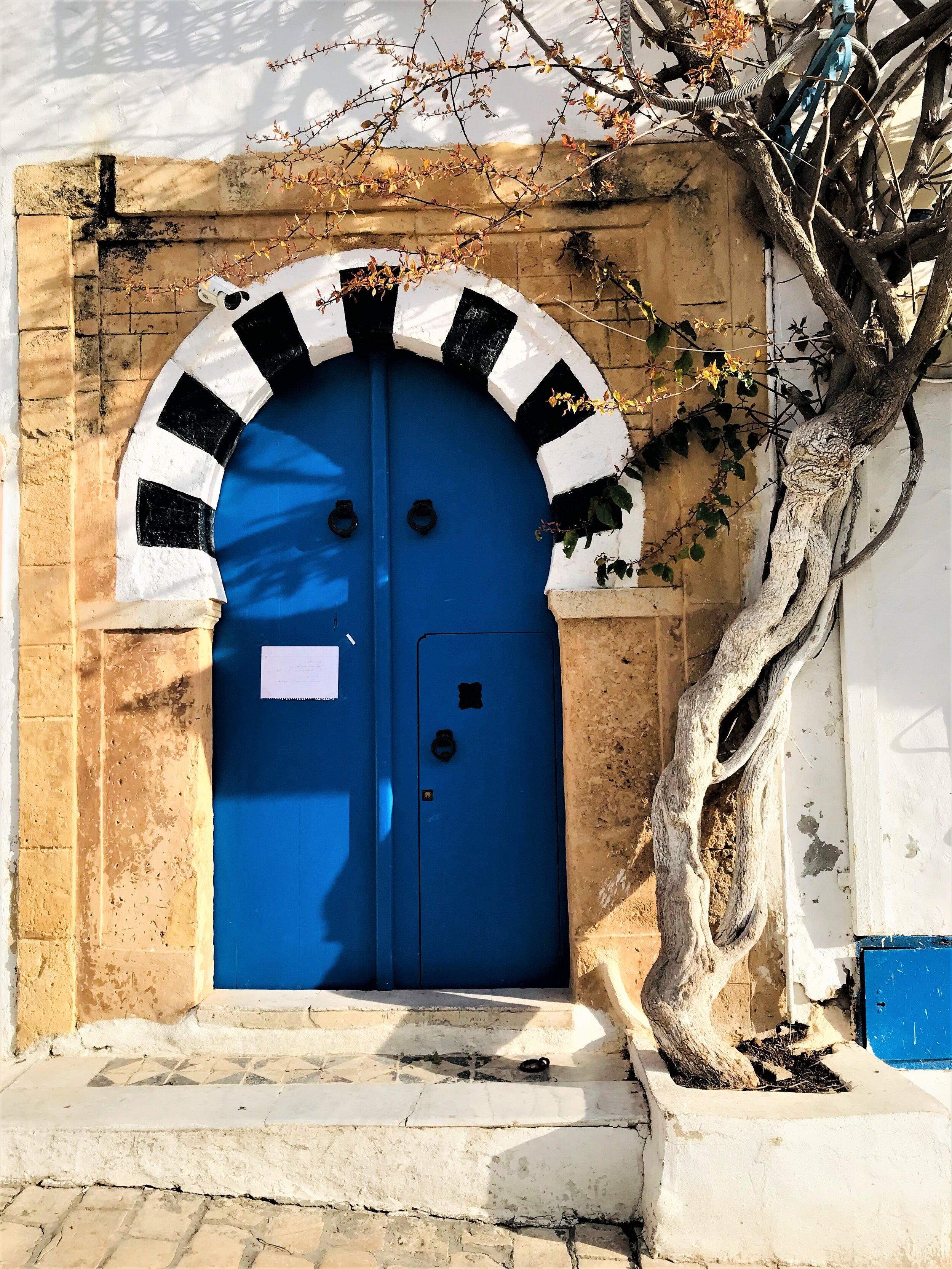 Door (Sidi Bou Said) - Photo Credit: TA