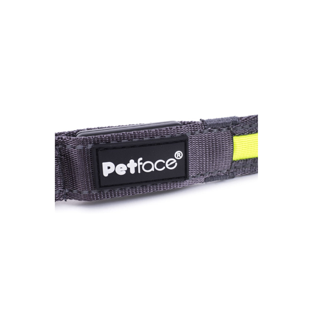 Reflective LED Dog Collar | Pet Store