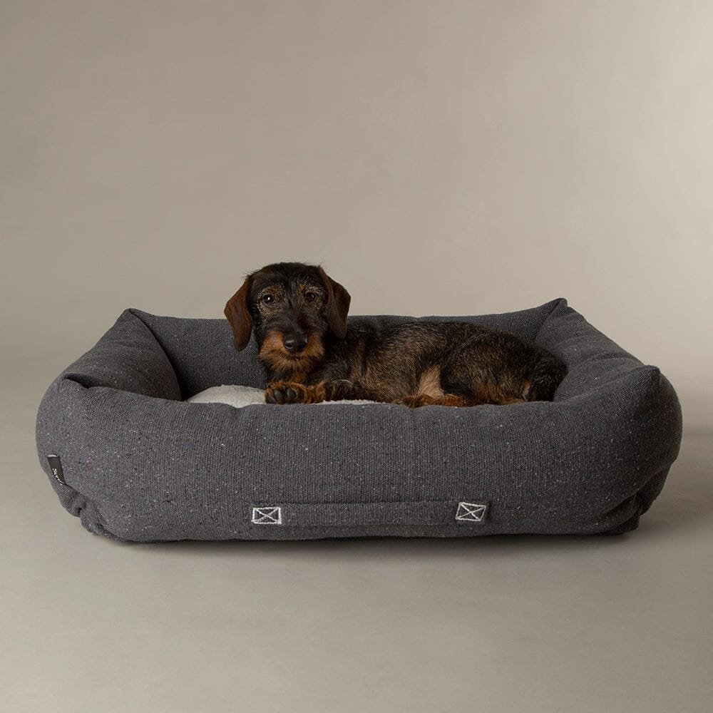Scruffs Eden Box Bed