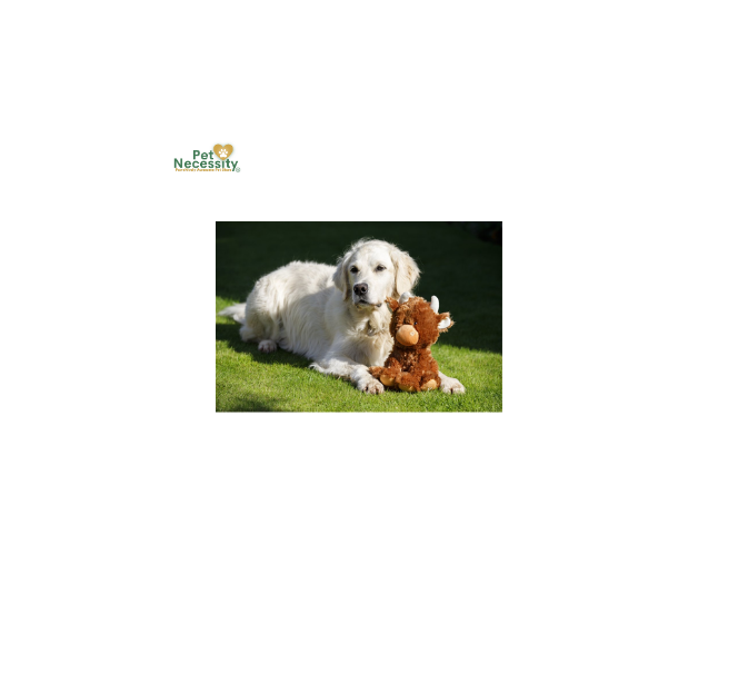 PETFACE BUDDIES HETTY HIGHLAND COW PLUSH DOG TOY