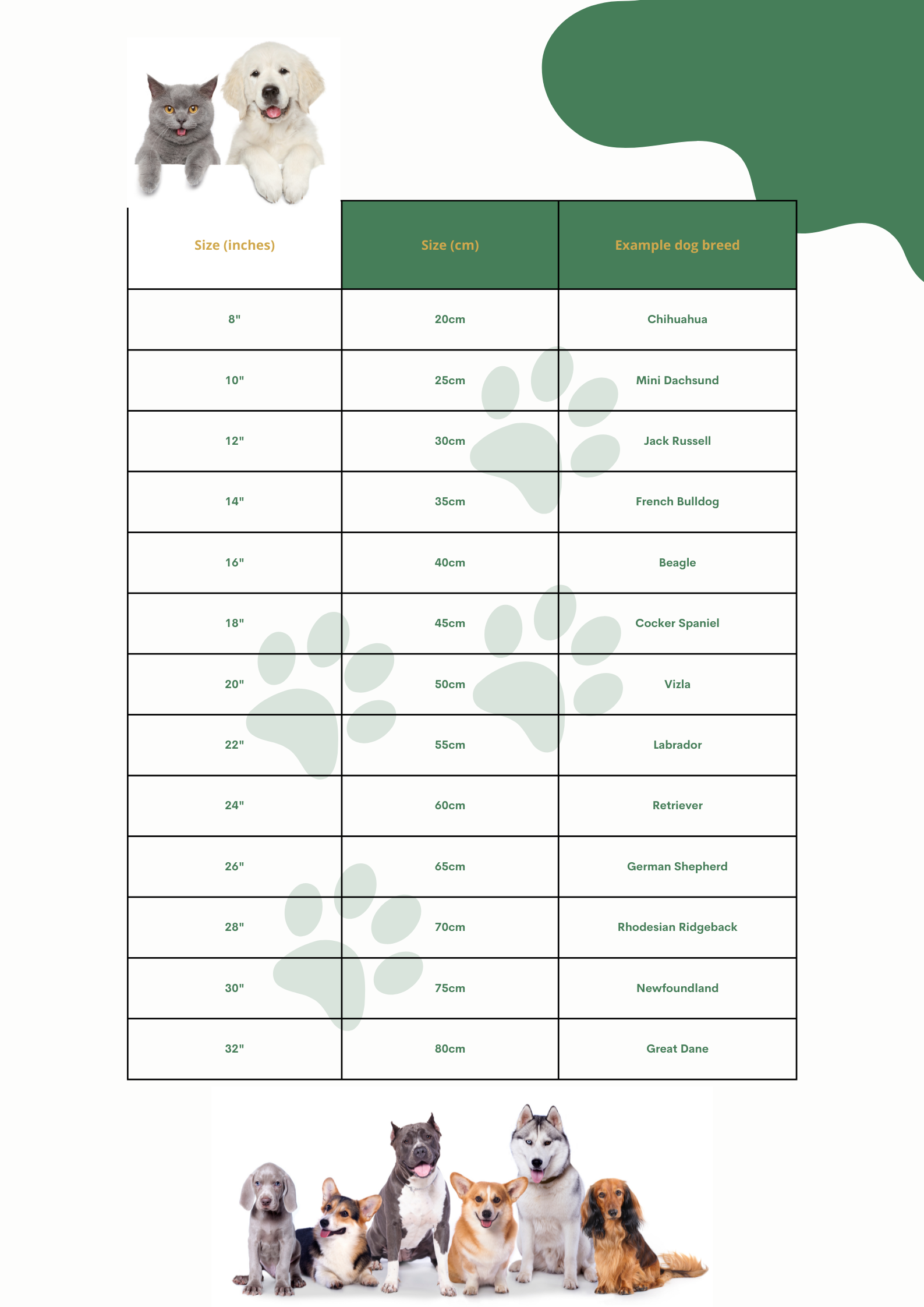 The Pet Necessity Dog Coat Size Guide Online Pet Store