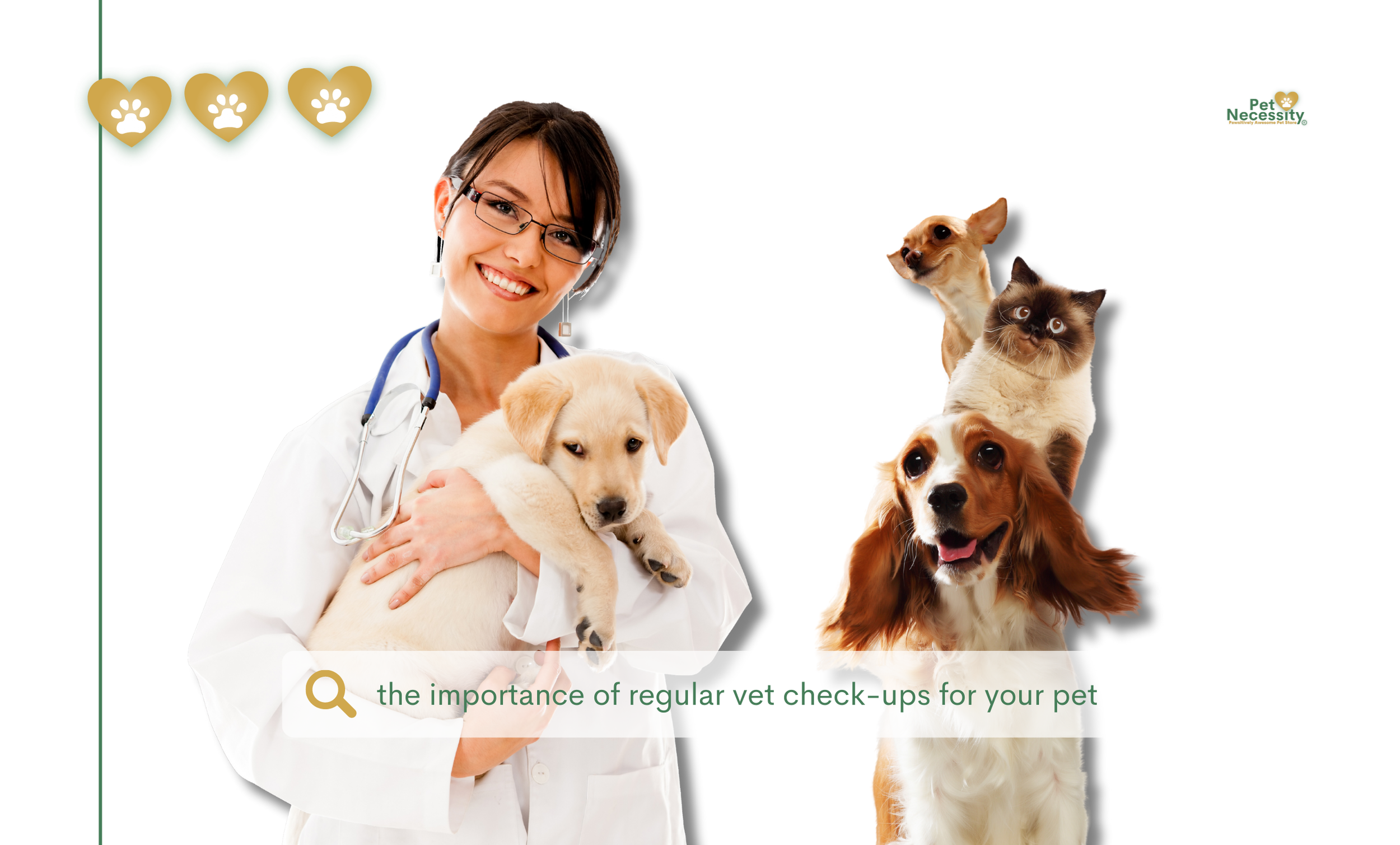The Importance of Regular Vet Checkups for Pets Pet Blog