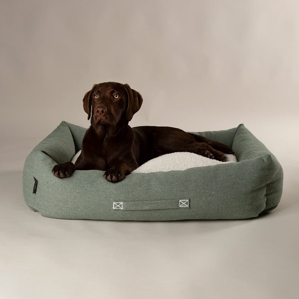Scruffs Eden Box Bed