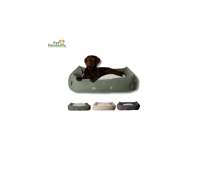 Scruffs Eden Box Bed