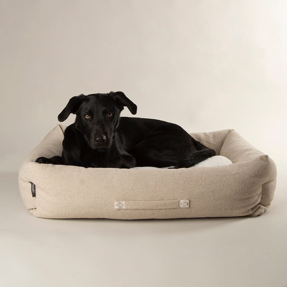 Scruffs Eden Box Bed